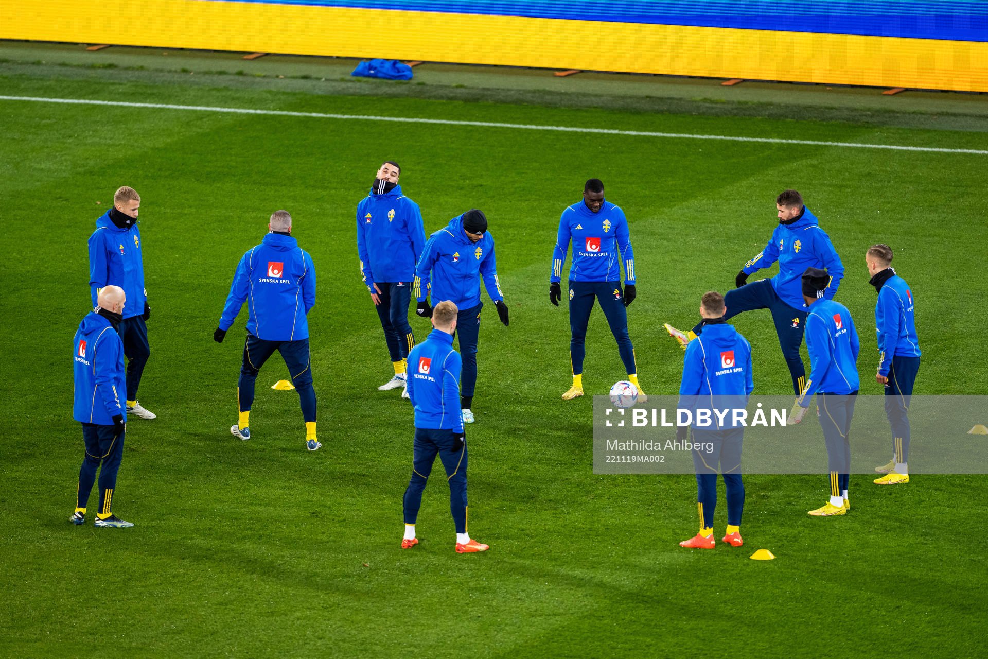 Players of Sweden