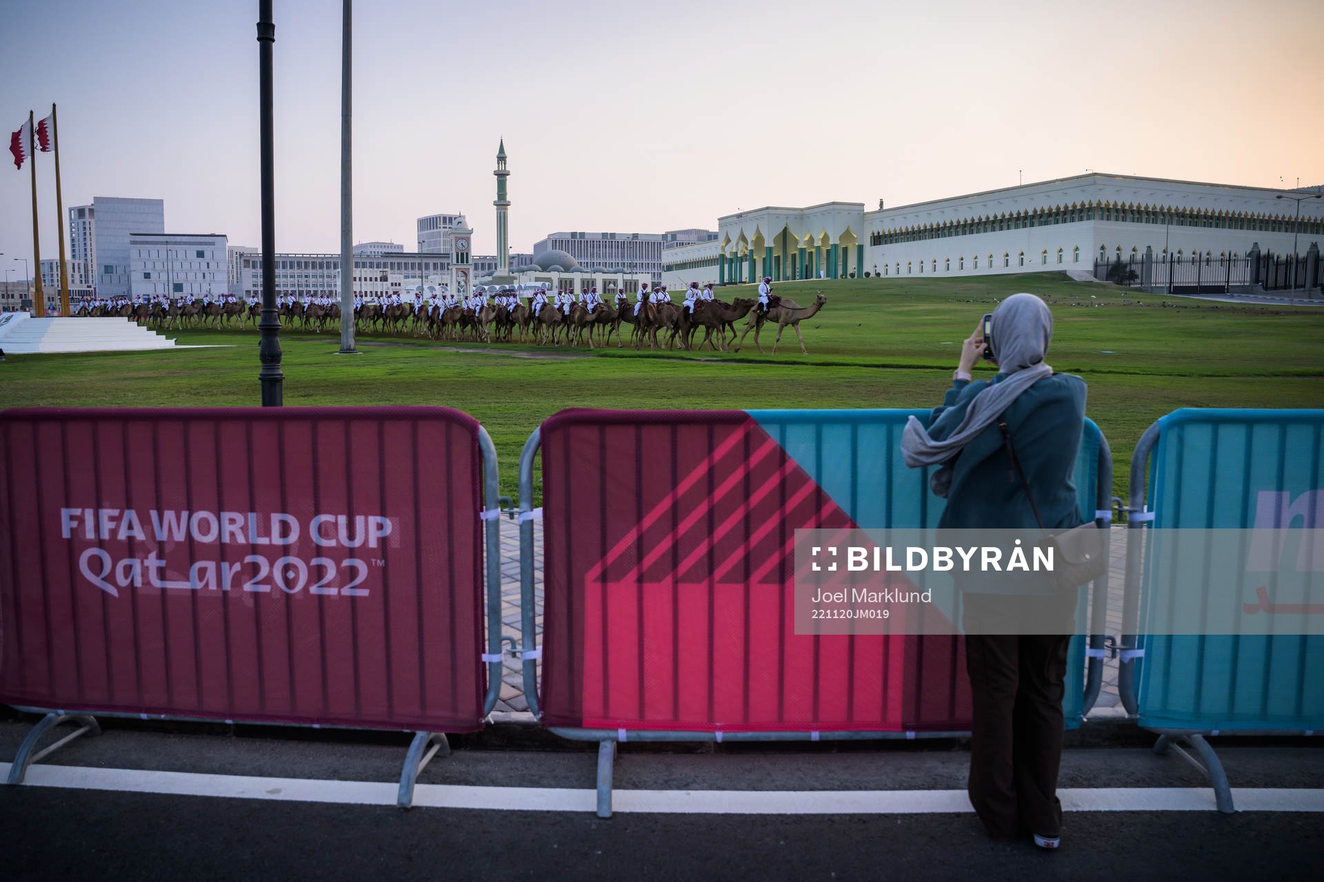 A woman takes photos of camels riding in front of