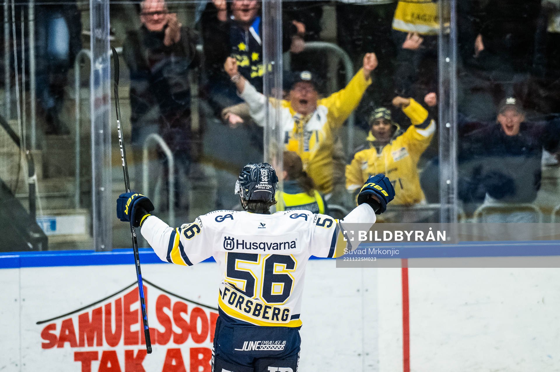 HV71s Fredrik Forsberg jublar