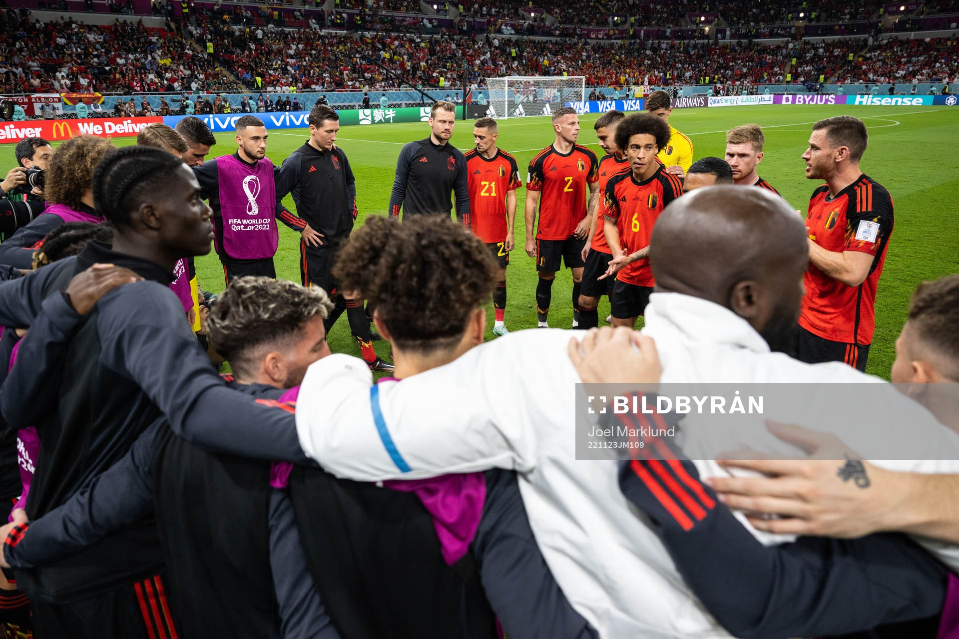Players of Belgium