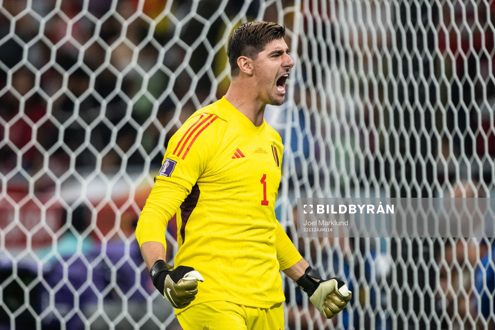 Goalkeeper Thibaut Courtoisof Belgium celebrates