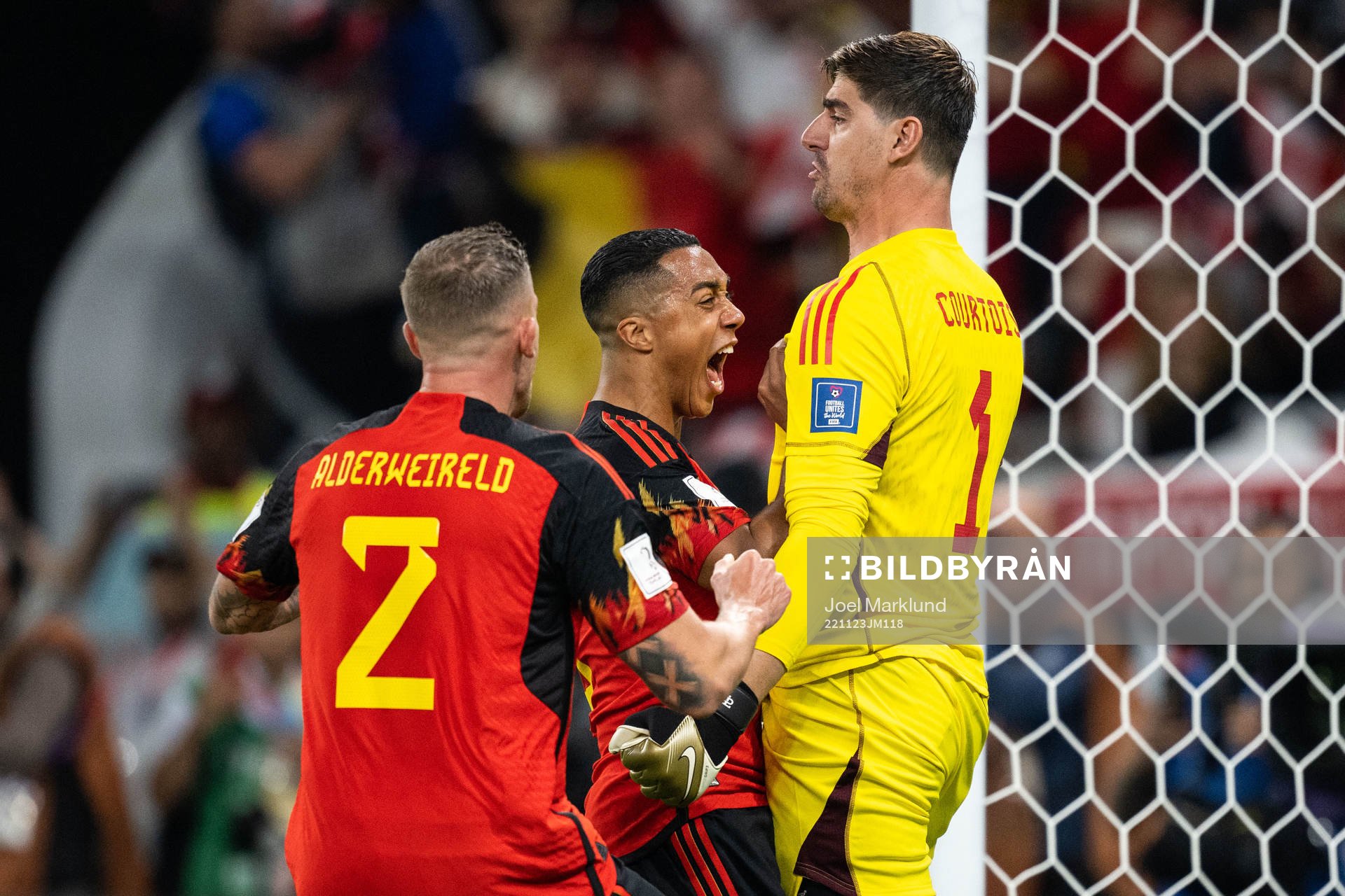 Toby Alderweireld, Youri Tielemans and goalkeeper Thibaut