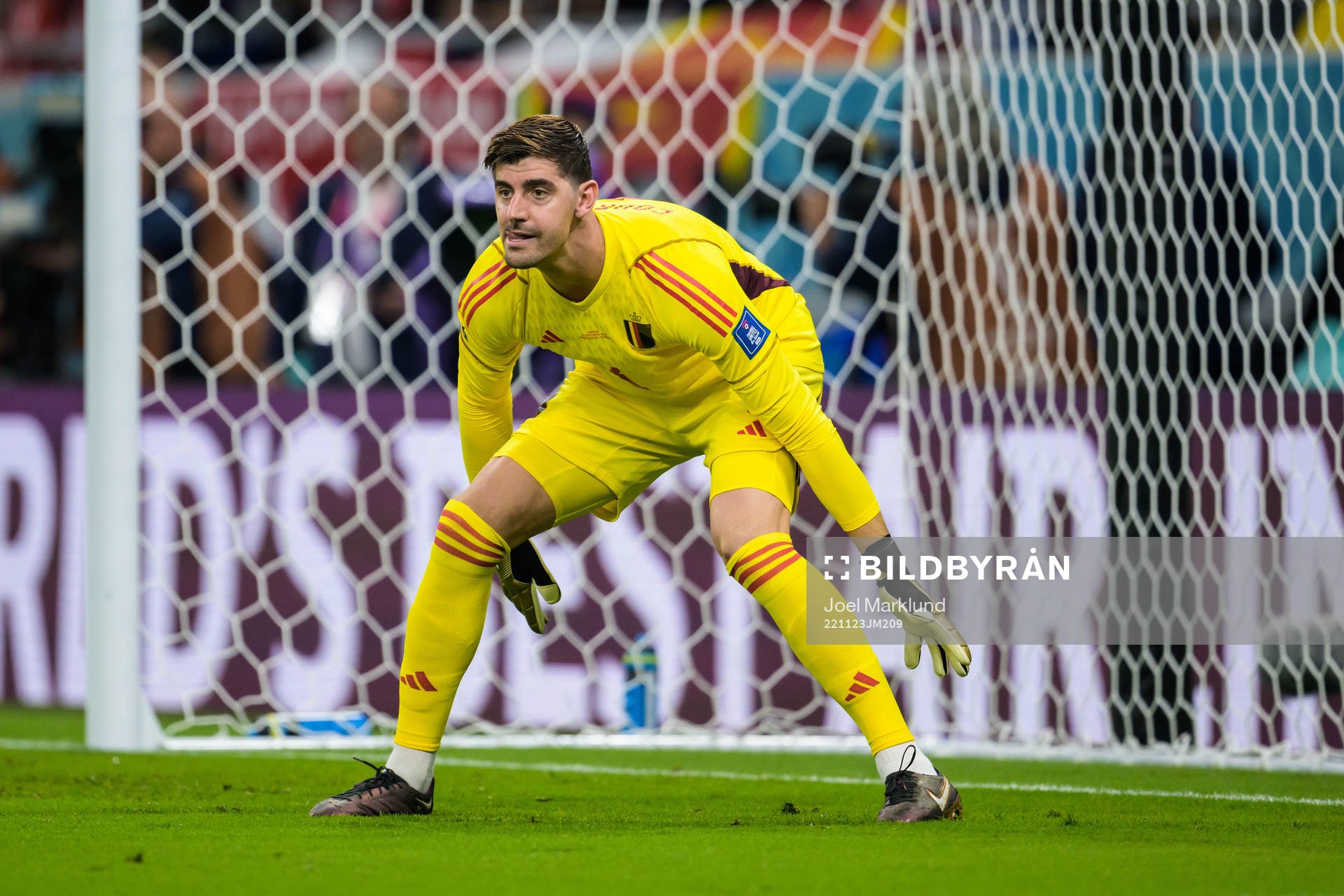 Goalkeeper Thibaut Courtois of Belgium