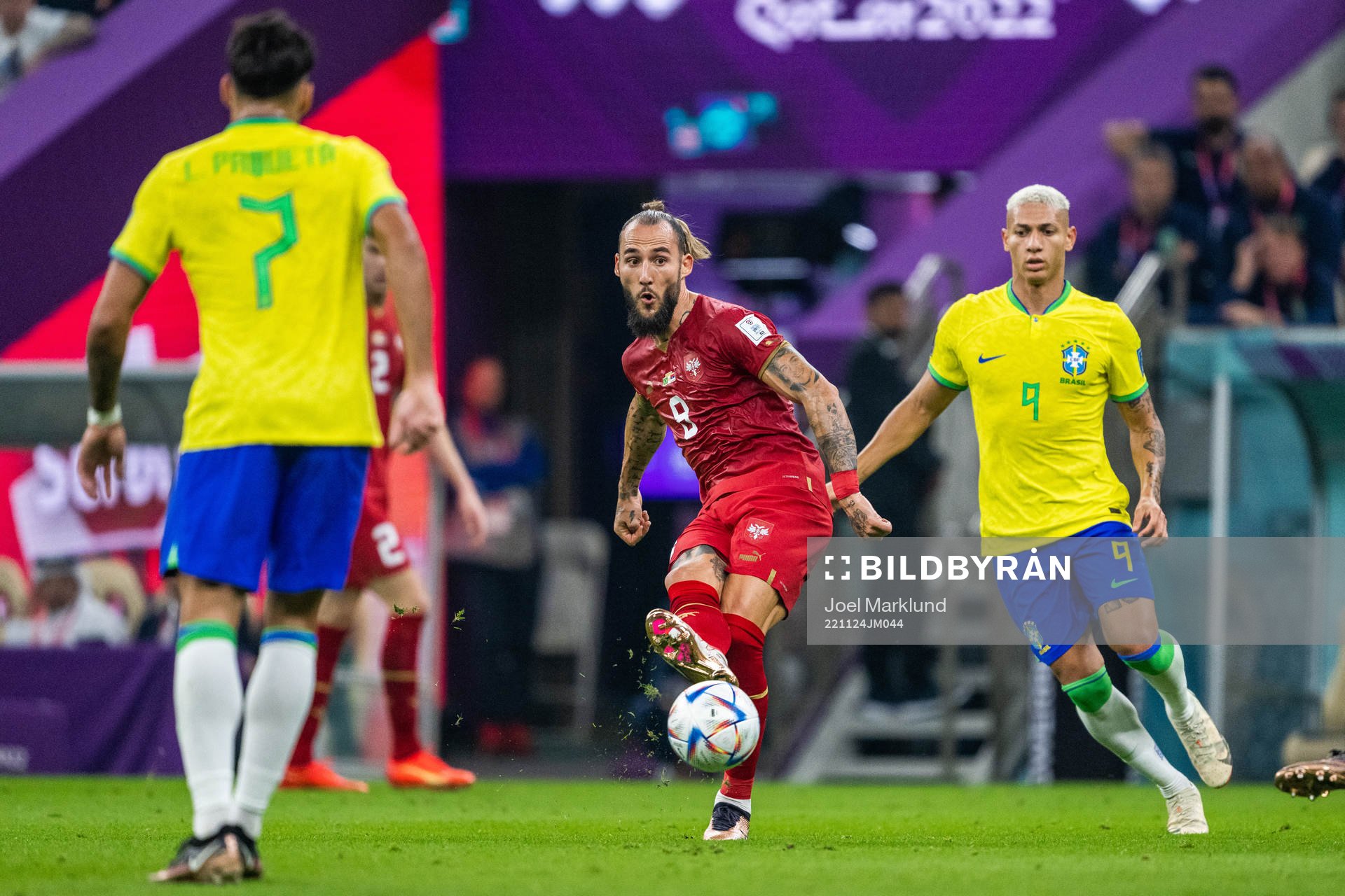 Nemanja Gudelj of Serbia and Richarlison of Brazil
