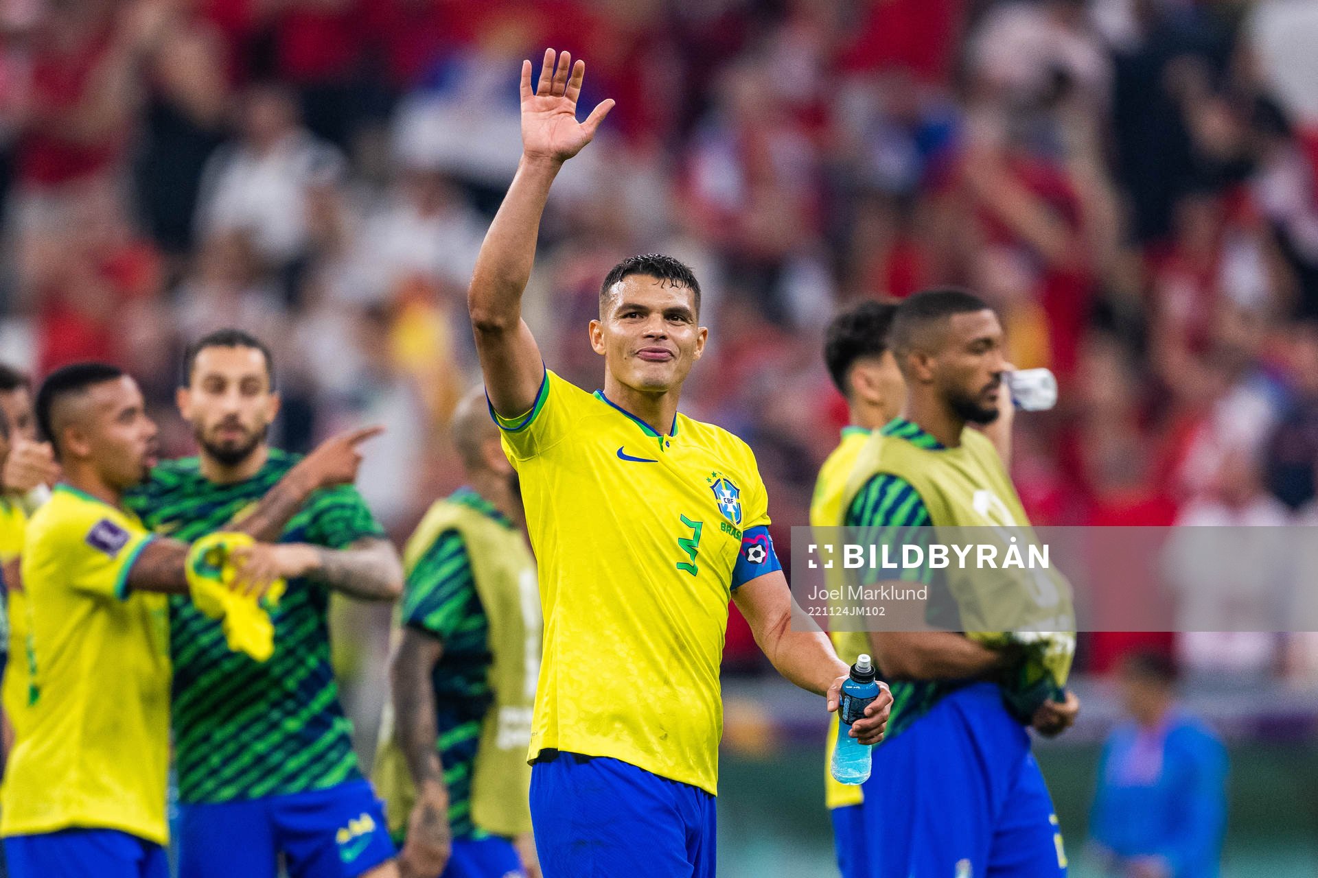 Thiago Silva of Brazil celebrates