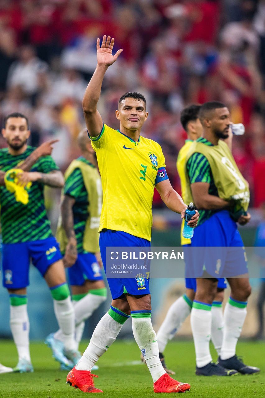 Thiago Silva of Brazil celebrates