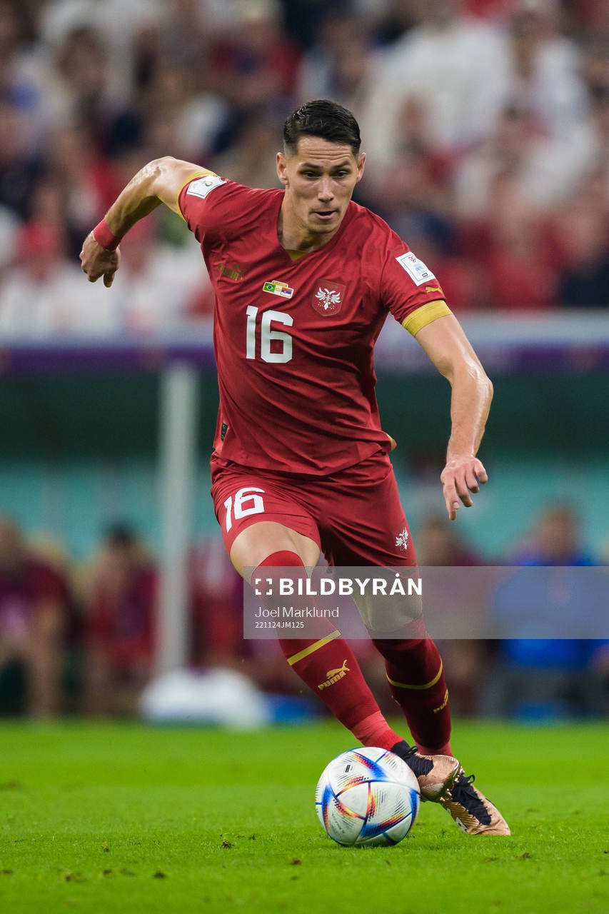 Sasa Lukic of Serbia