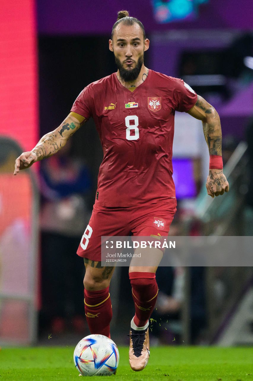 Nemanja Gudelj of Serbia