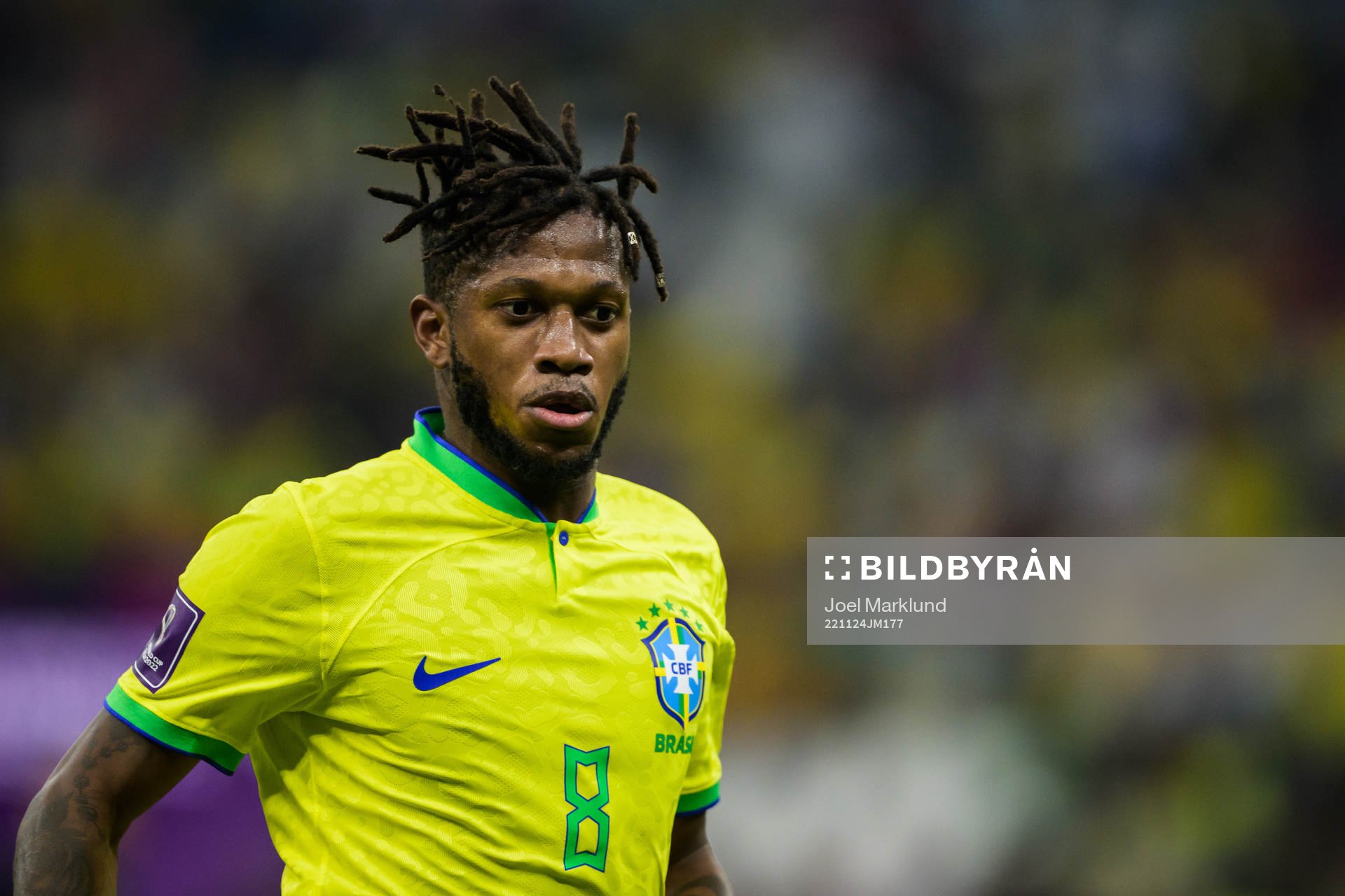 Fred of Brazil