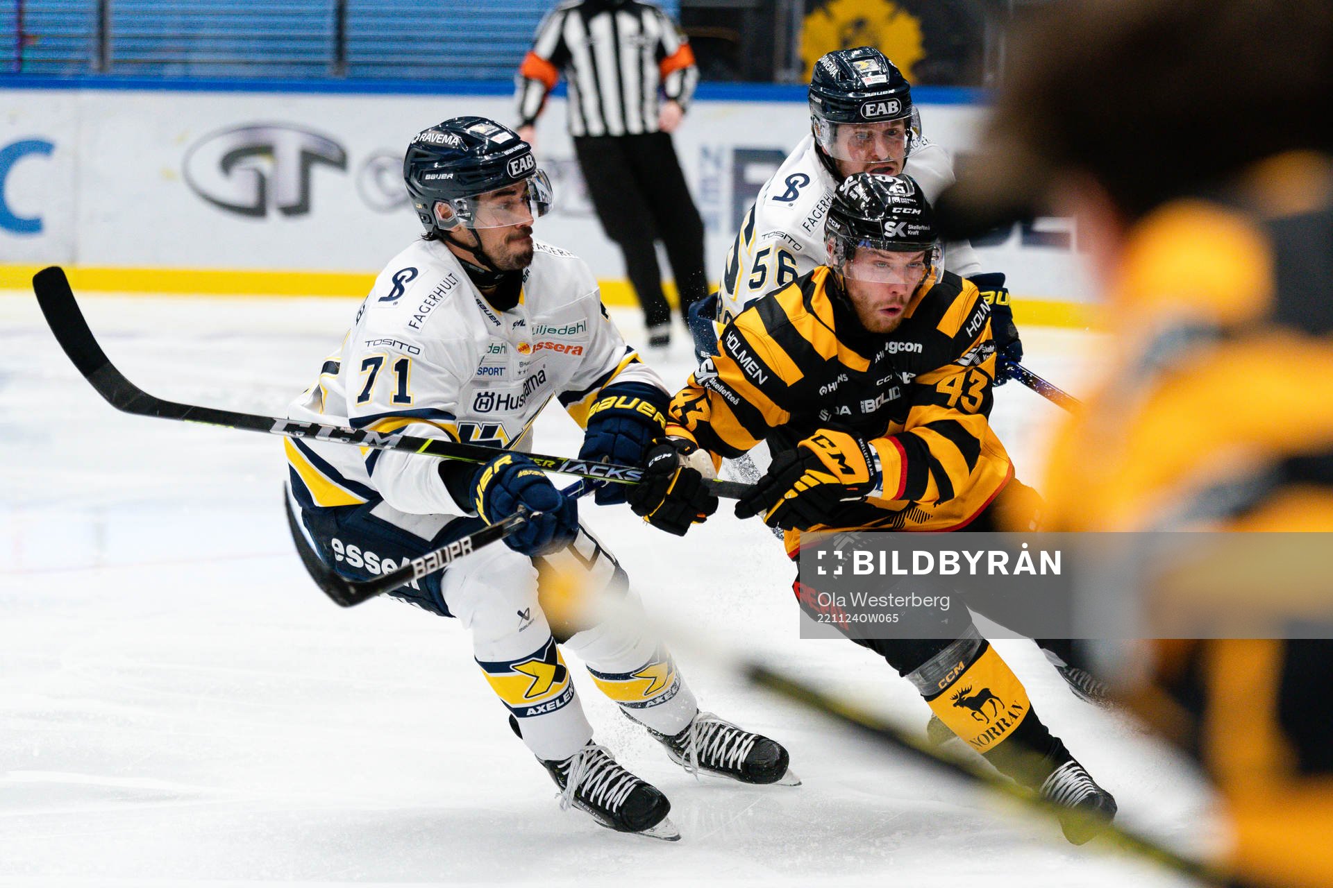 HV71s Tyler Vesel och Skellefteås Filip Sandberg