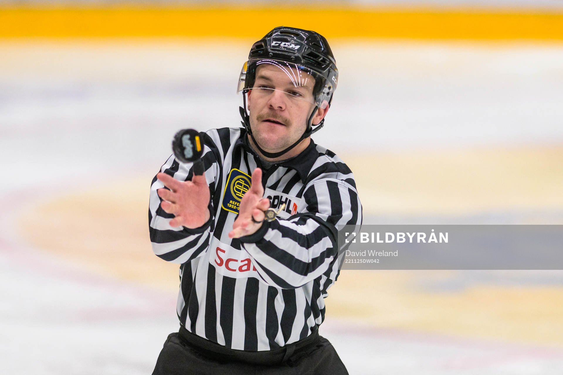 Domare fångar pucken