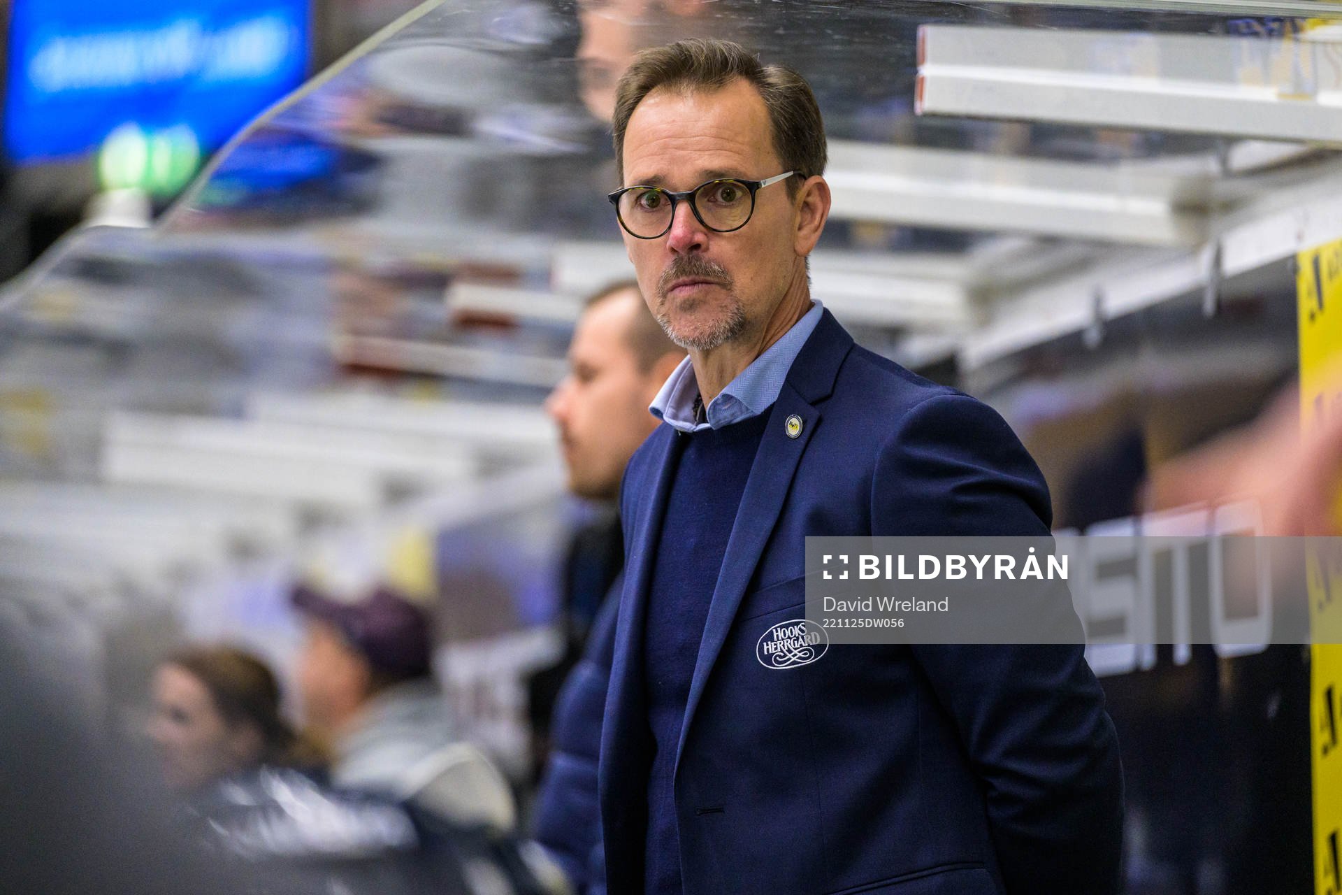 HV71s  tränare Peter Hammarström