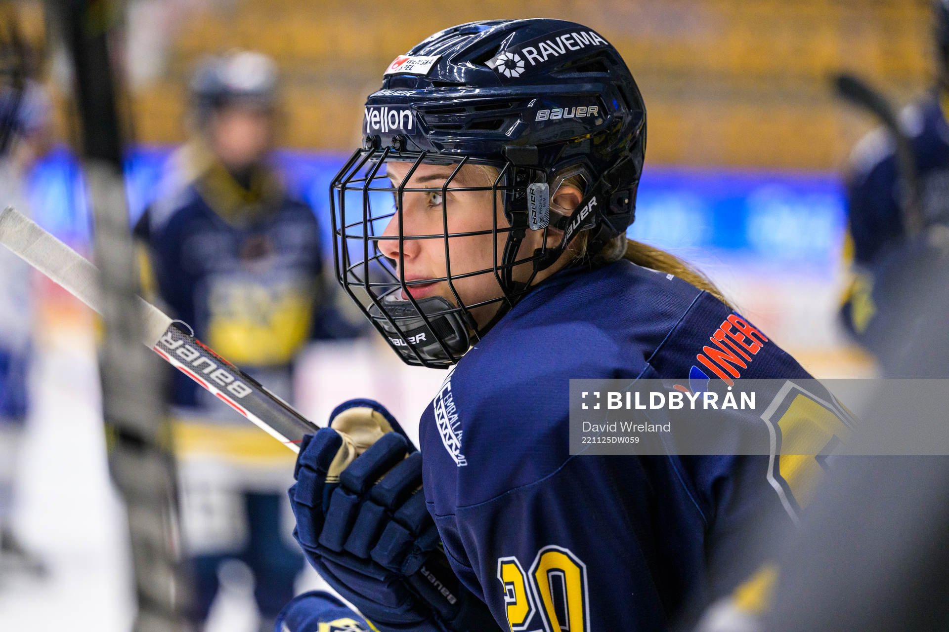 HV71s Karoline Pedersen