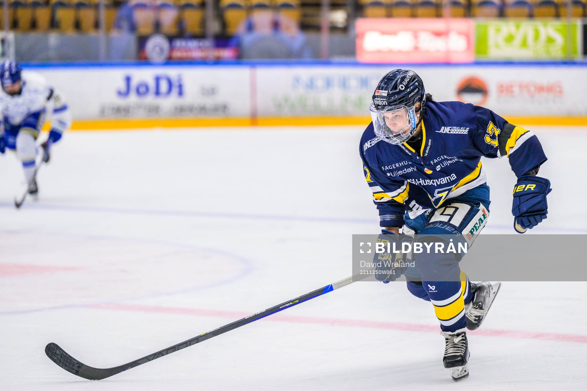 HV71s Danielle Stone