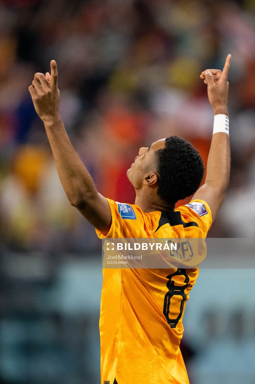 Cody Gakpo of Netherlands celebrates