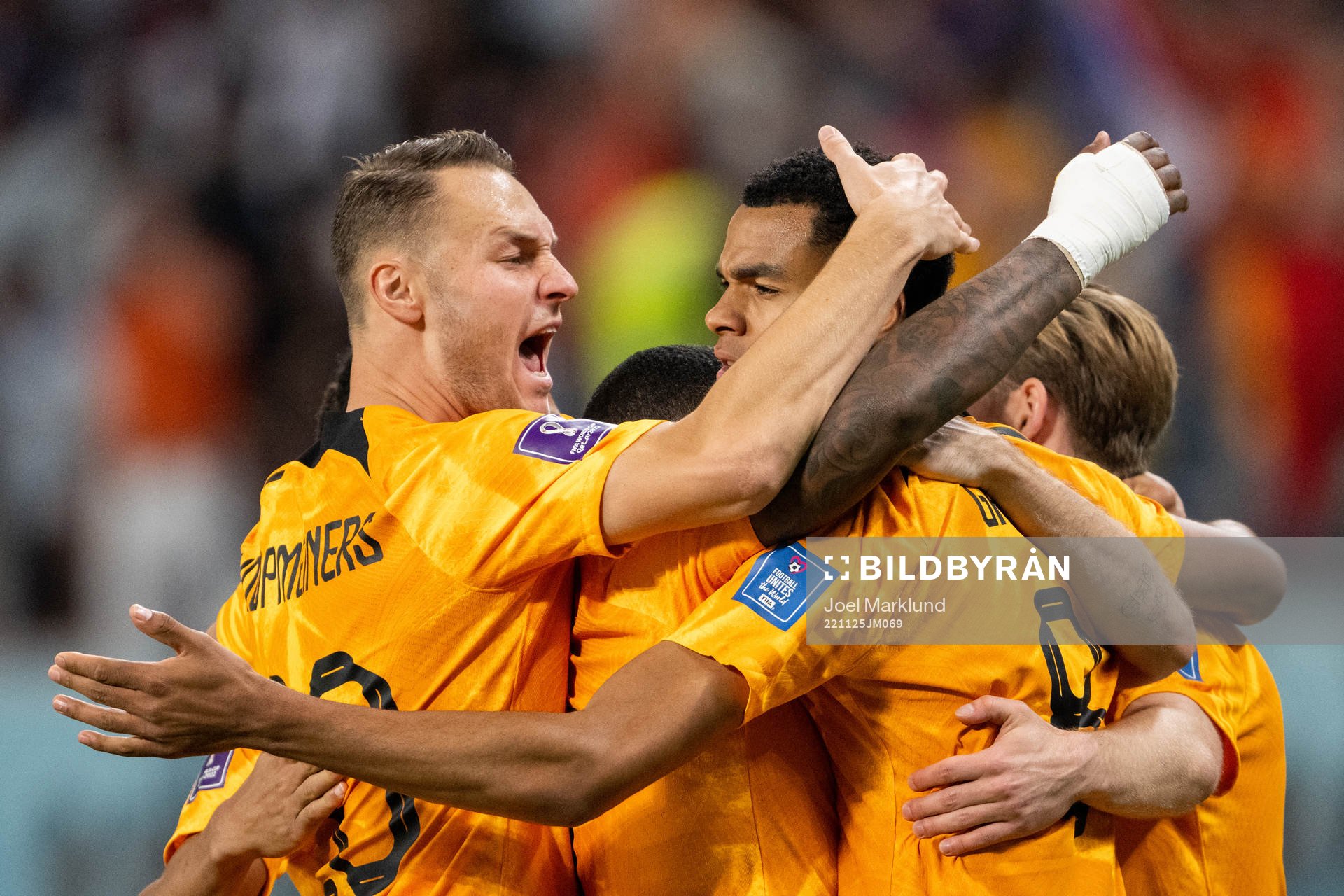 Cody Gakpo of Netherlands celebrate with team mates
