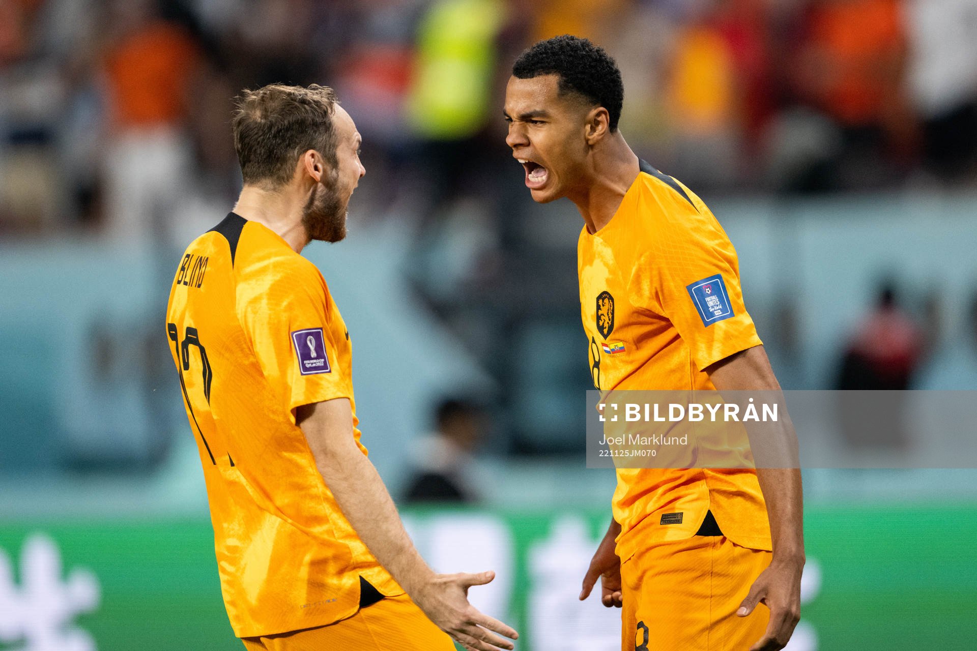 Cody Gakpo of Netherlands celebrate with Daley Blind