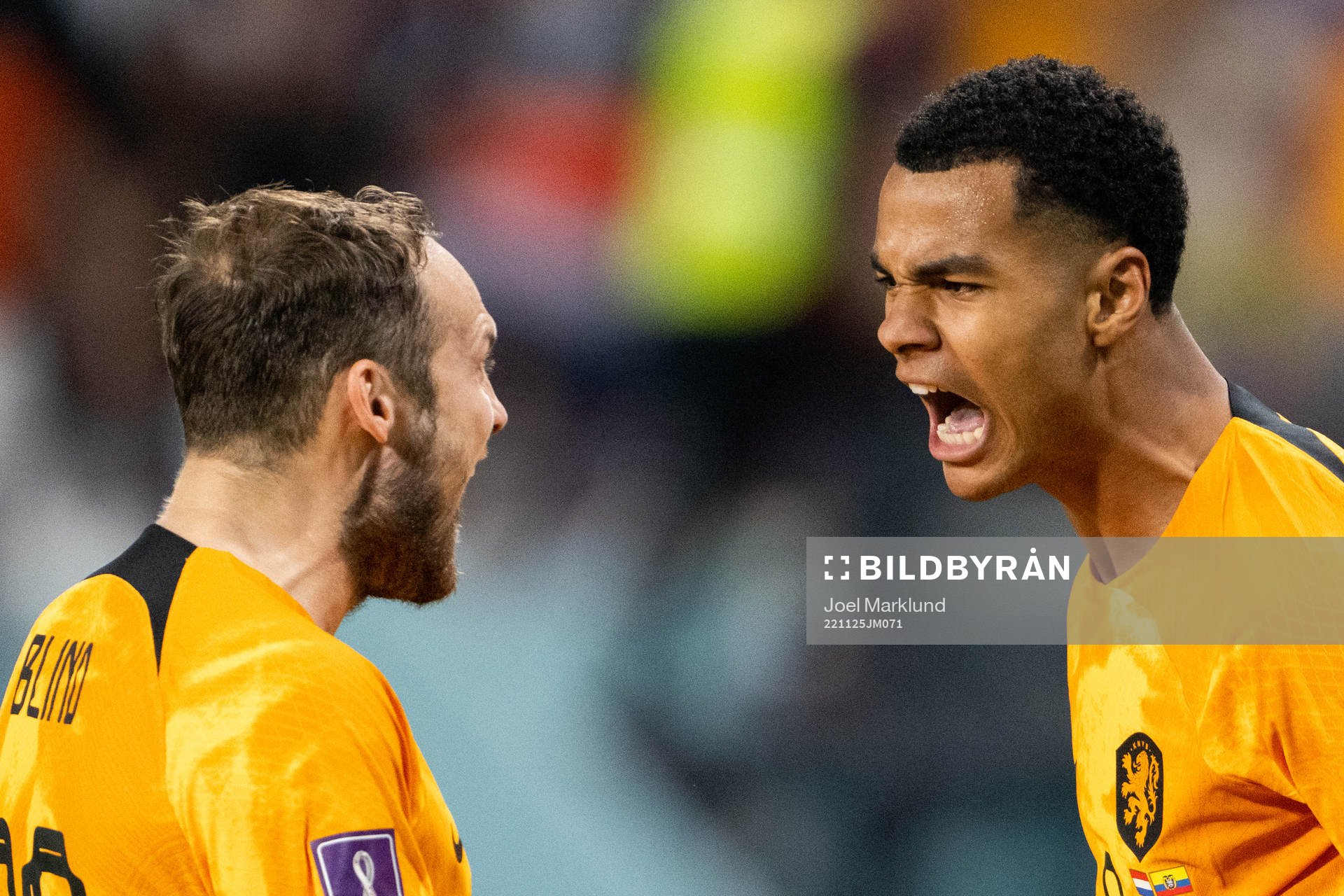 Cody Gakpo of Netherlands celebrate with Daley Blind after scoring the 1-0 goal during the FIFA World Cup 2022 football match between Netherlands and Ecuador on November 25, 2022 in Doha.