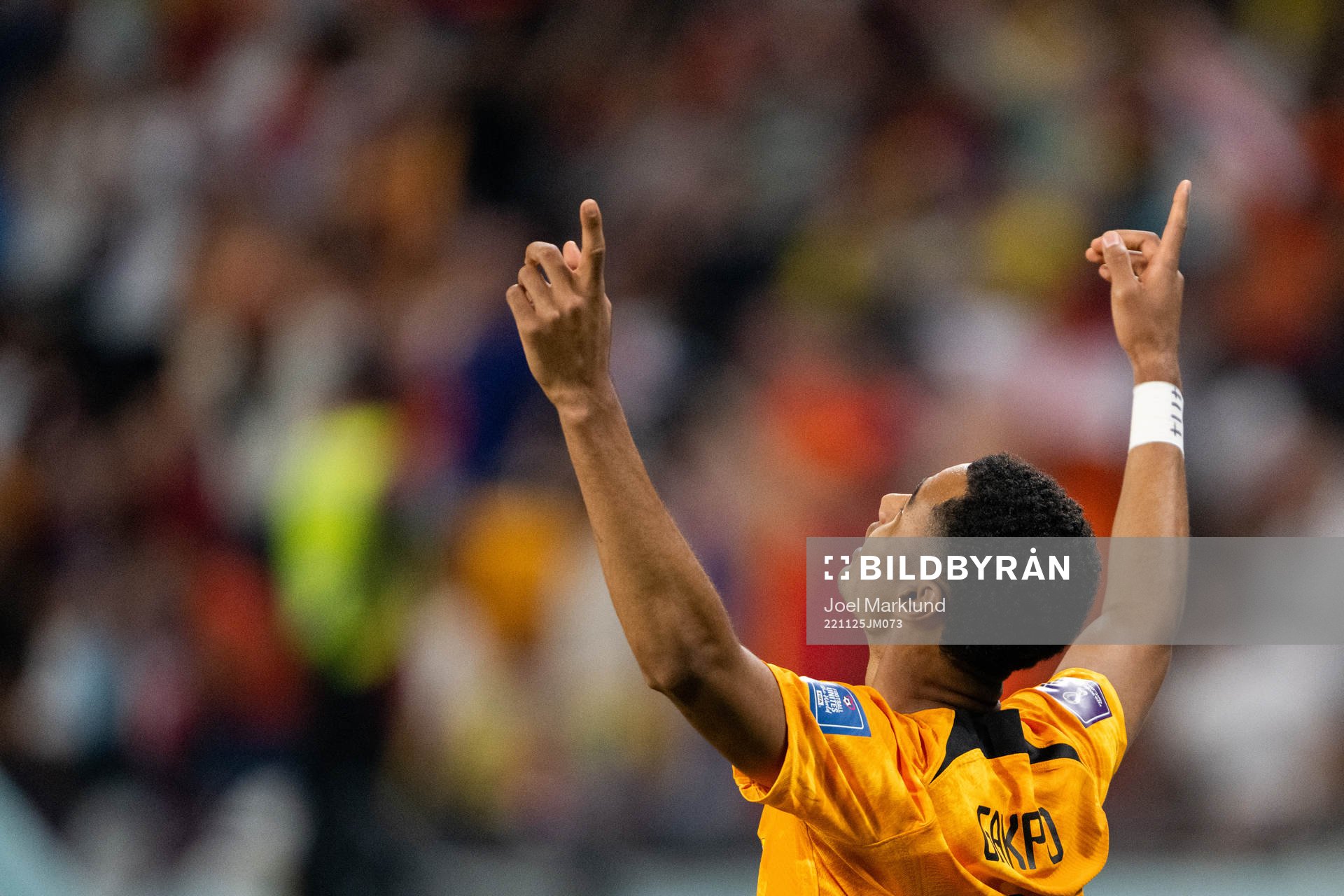 Cody Gakpo of Netherlands celebrates