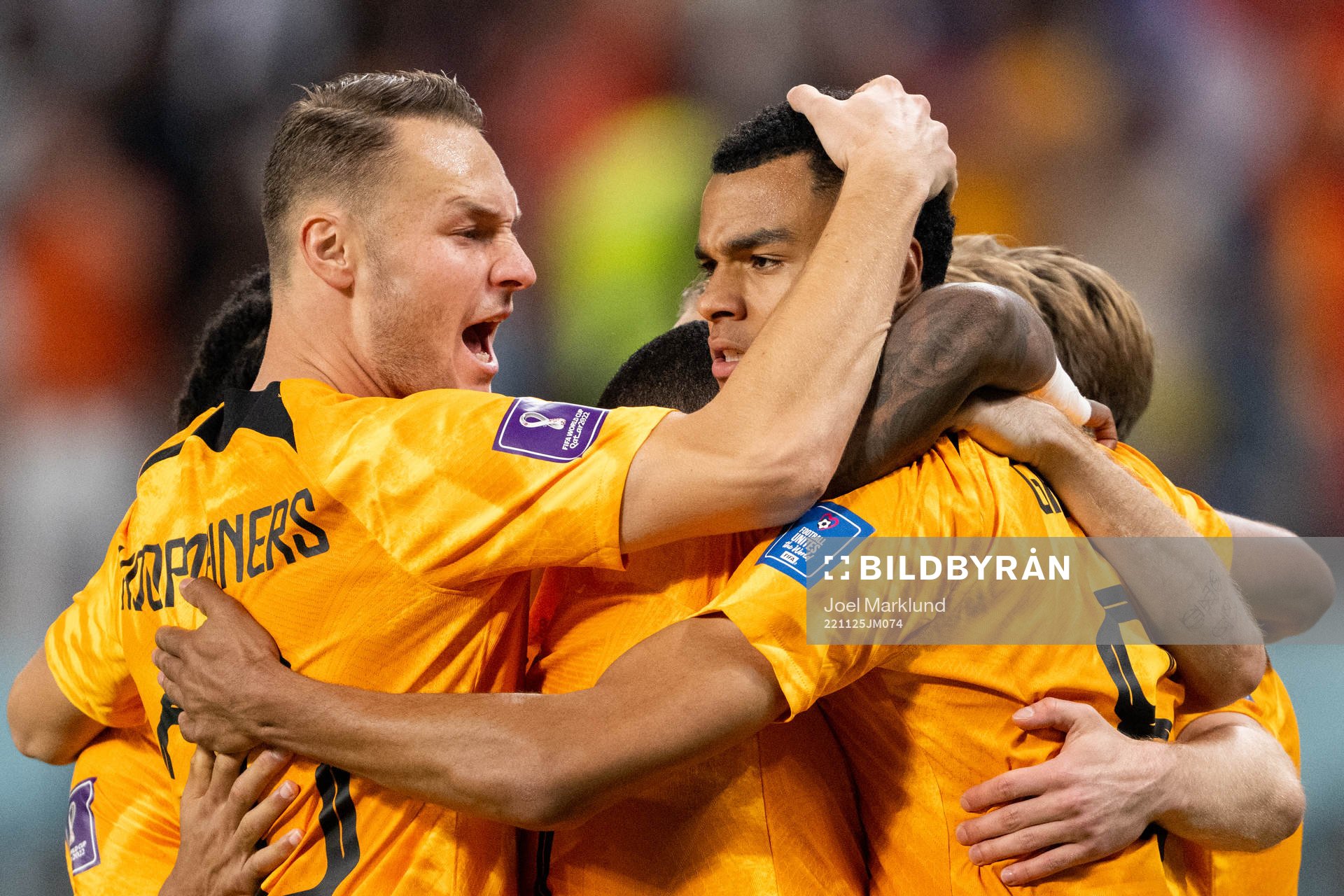 Cody Gakpo of Netherlands (C) celebrate with Teun Koopmeiners (L) after scoring the 1-0 goal during the FIFA World Cup 2022 football match between Netherlands and Ecuador on November 25, 2022 in Doha.
