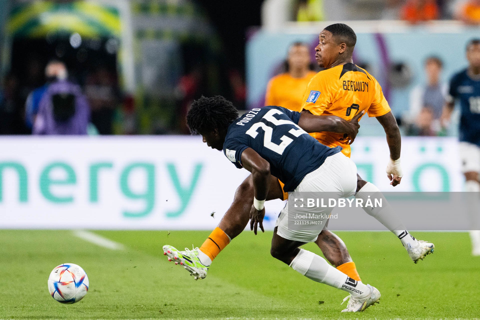 Steven Bergwijn of Netherlands and Jackson Porozo of Ecuador