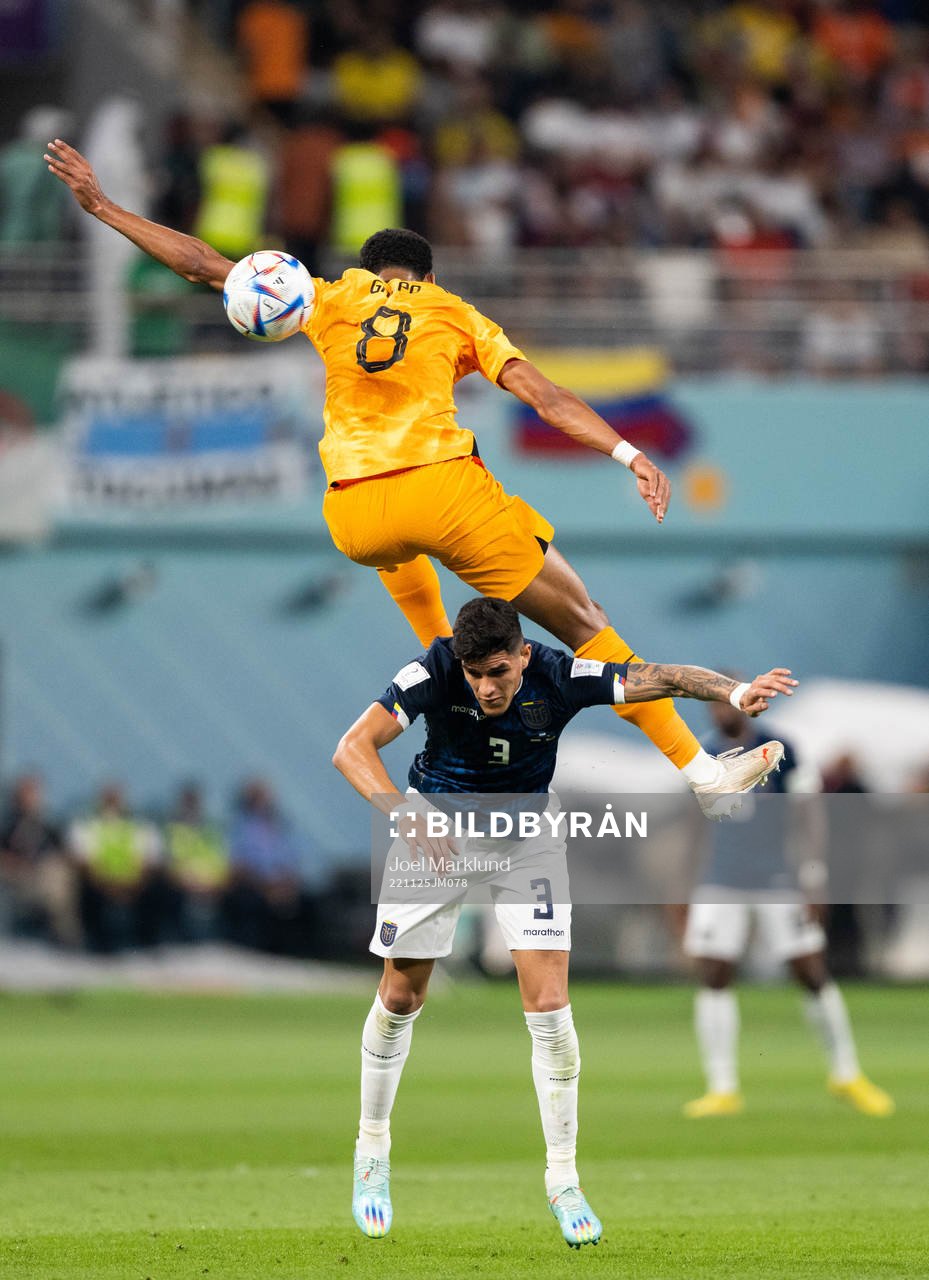 Cody Gakpo of Netherlands and Piero Hincapie of Ecuador