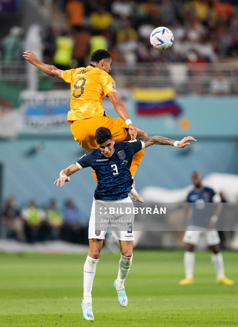 Cody Gakpo of Netherlands and Piero Hincapie of Ecuador