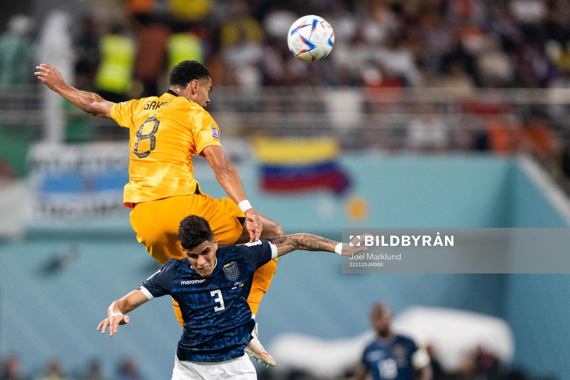 Cody Gakpo of Netherlands and Piero Hincapie of Ecuador