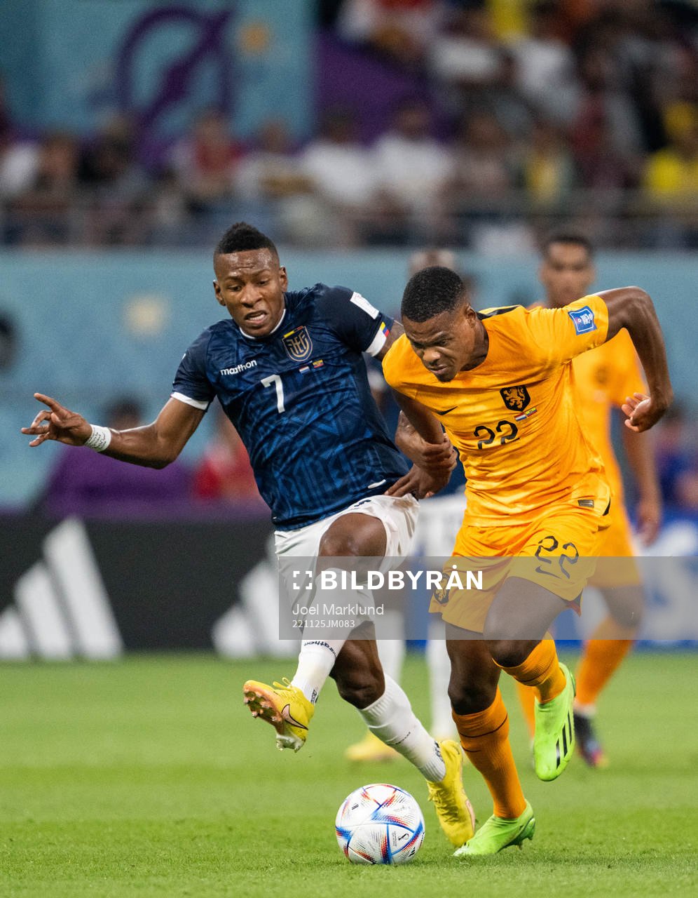 Pervis Estupinan of Ecuador against Denzel Dumfries of