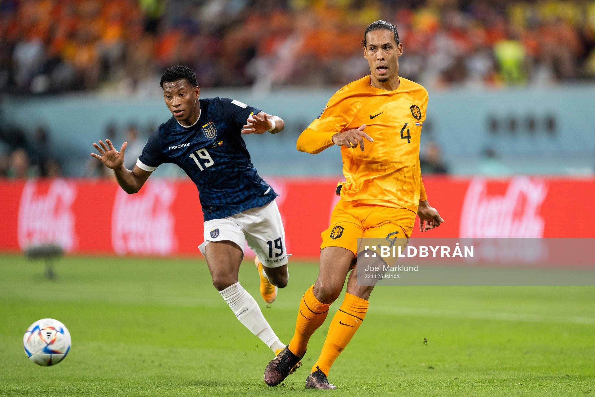 Gonzalo Plata of Ecuador and Virgil van Dijk of Netherlands