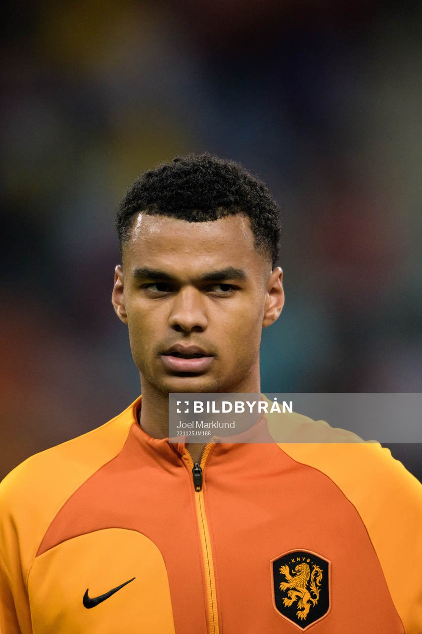 Cody Gakpo of Netherlands