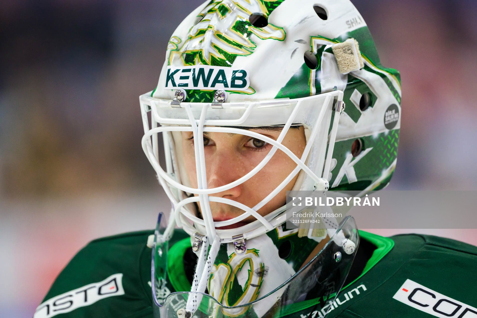 Färjestads målvakt Matthew Tomkins
