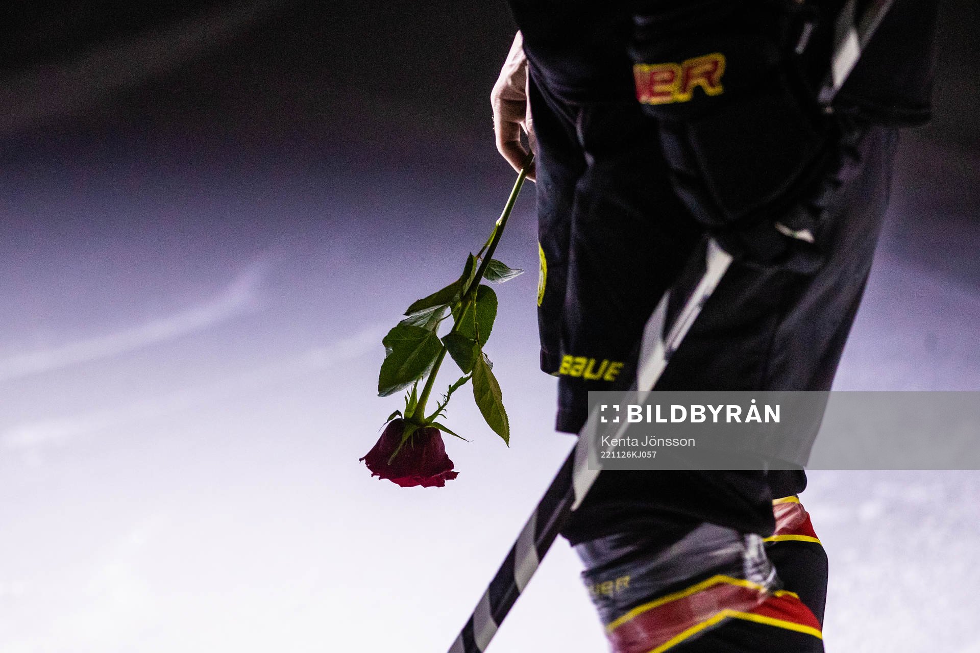 Brynäs Anton Rödin med en ros