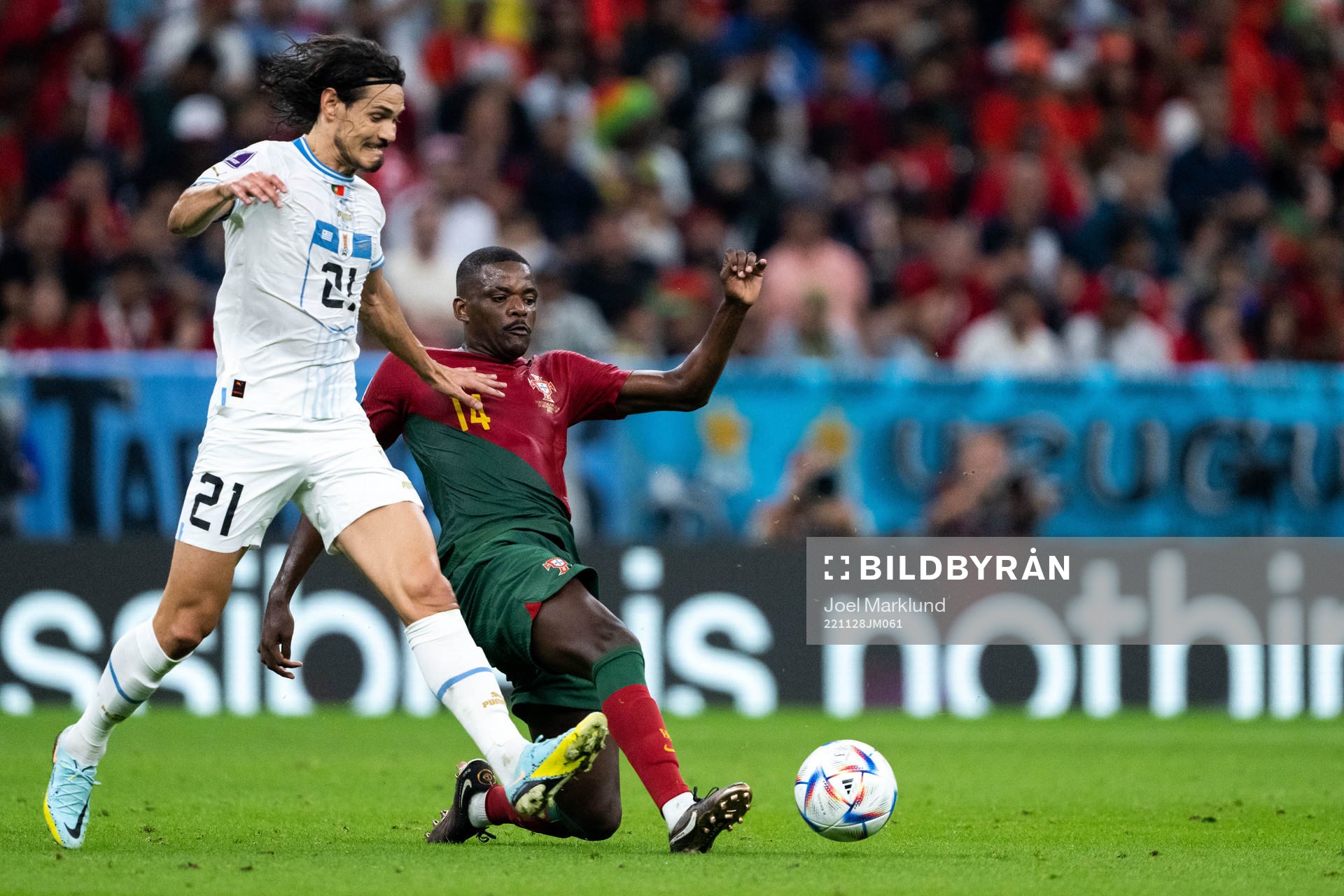 Edinson Cavani of Uruguay and William Carvalho of Portugal
