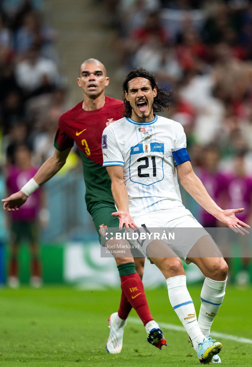 Pepe of Portugal and Edinson Cavani of Uruguay