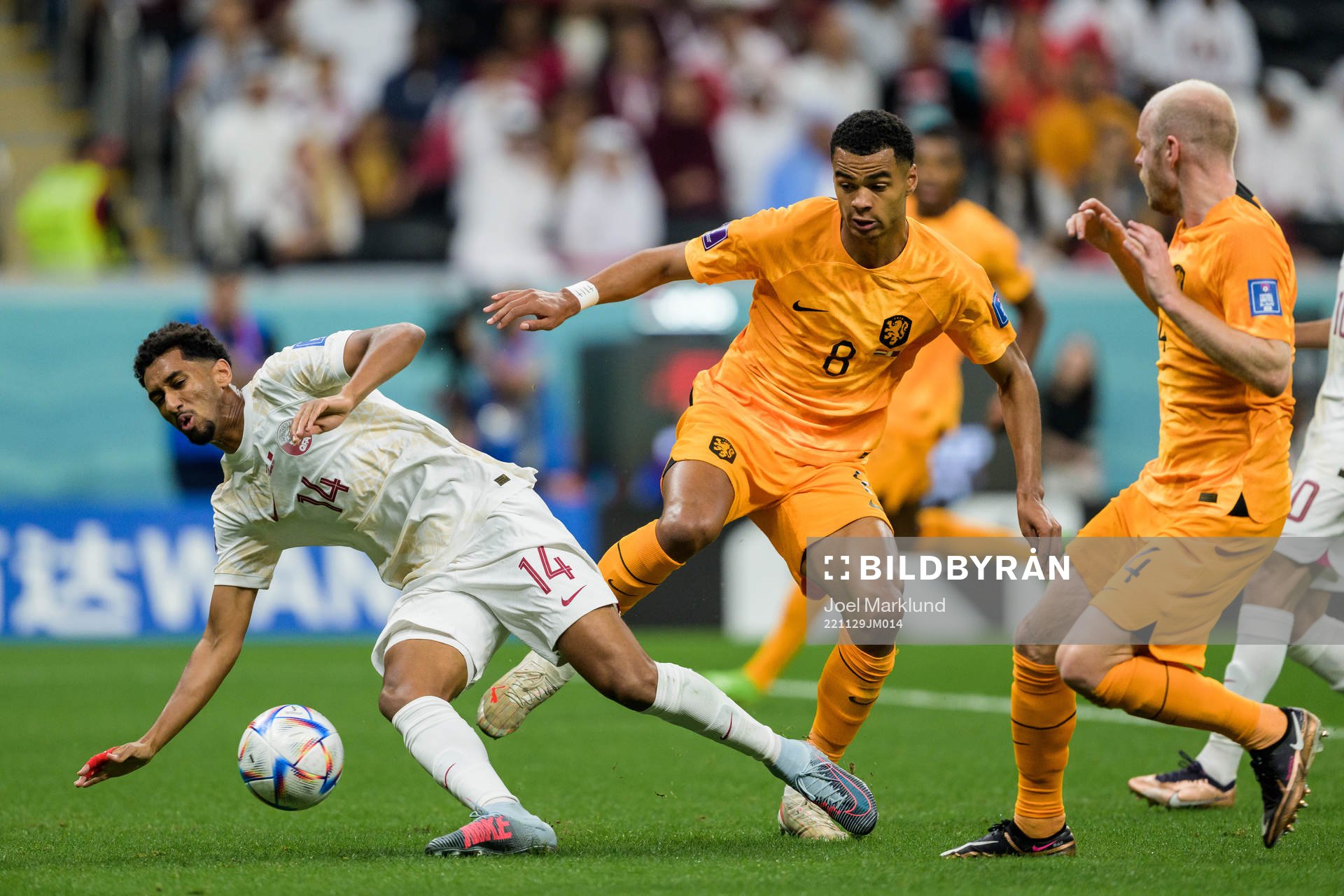 Homam Ahmed of Qatar against Cody Gakpo and Davy Klaassen