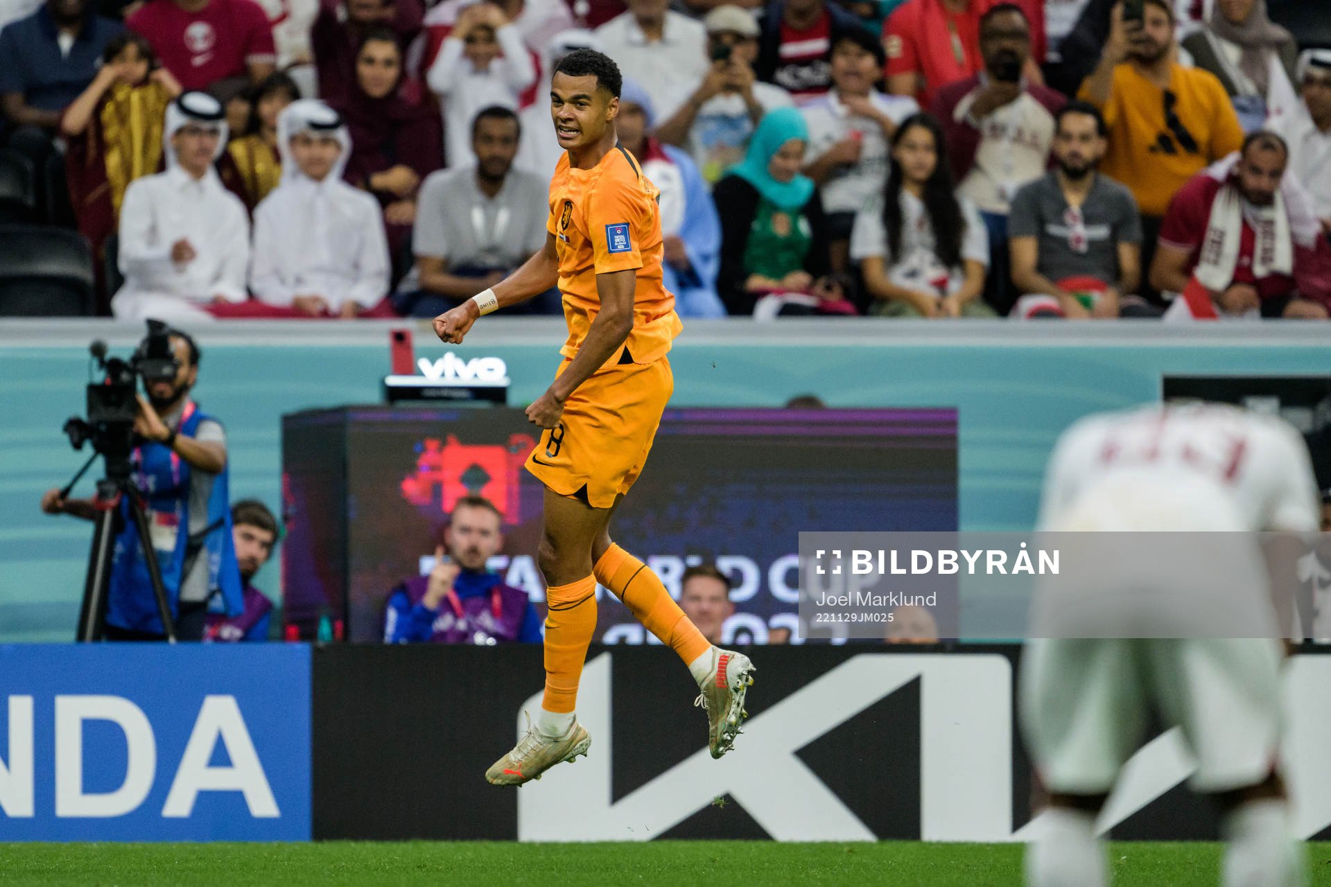 Cody Gakpo of Netherlands celebrates