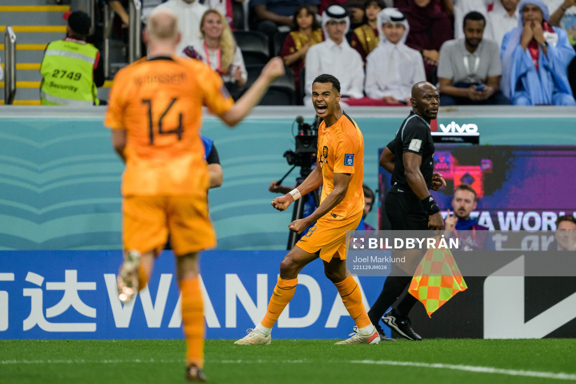 Cody Gakpo of Netherlands celebrates