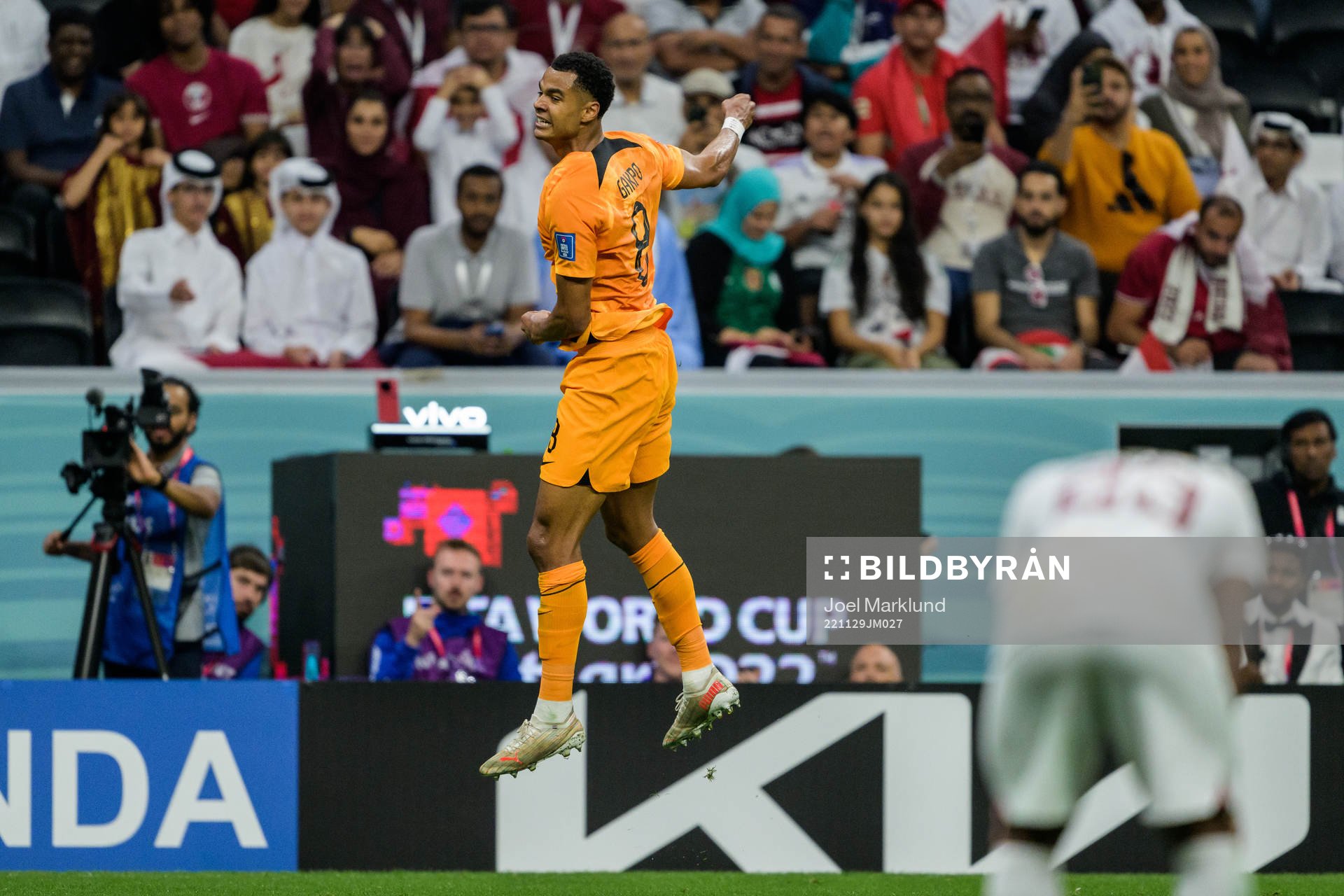 Cody Gakpo of Netherlands celebrates