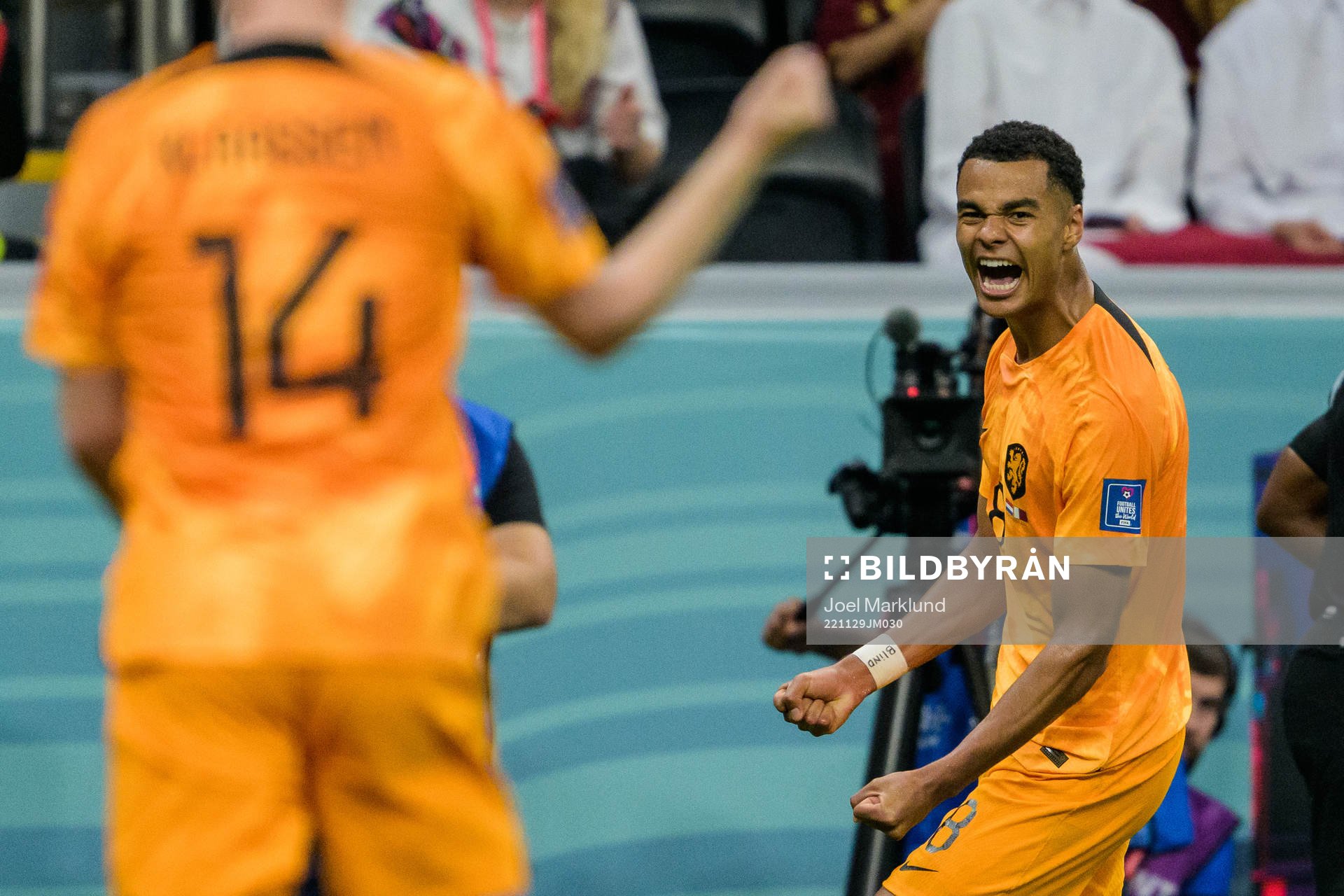 Cody Gakpo of Netherlands celebrates