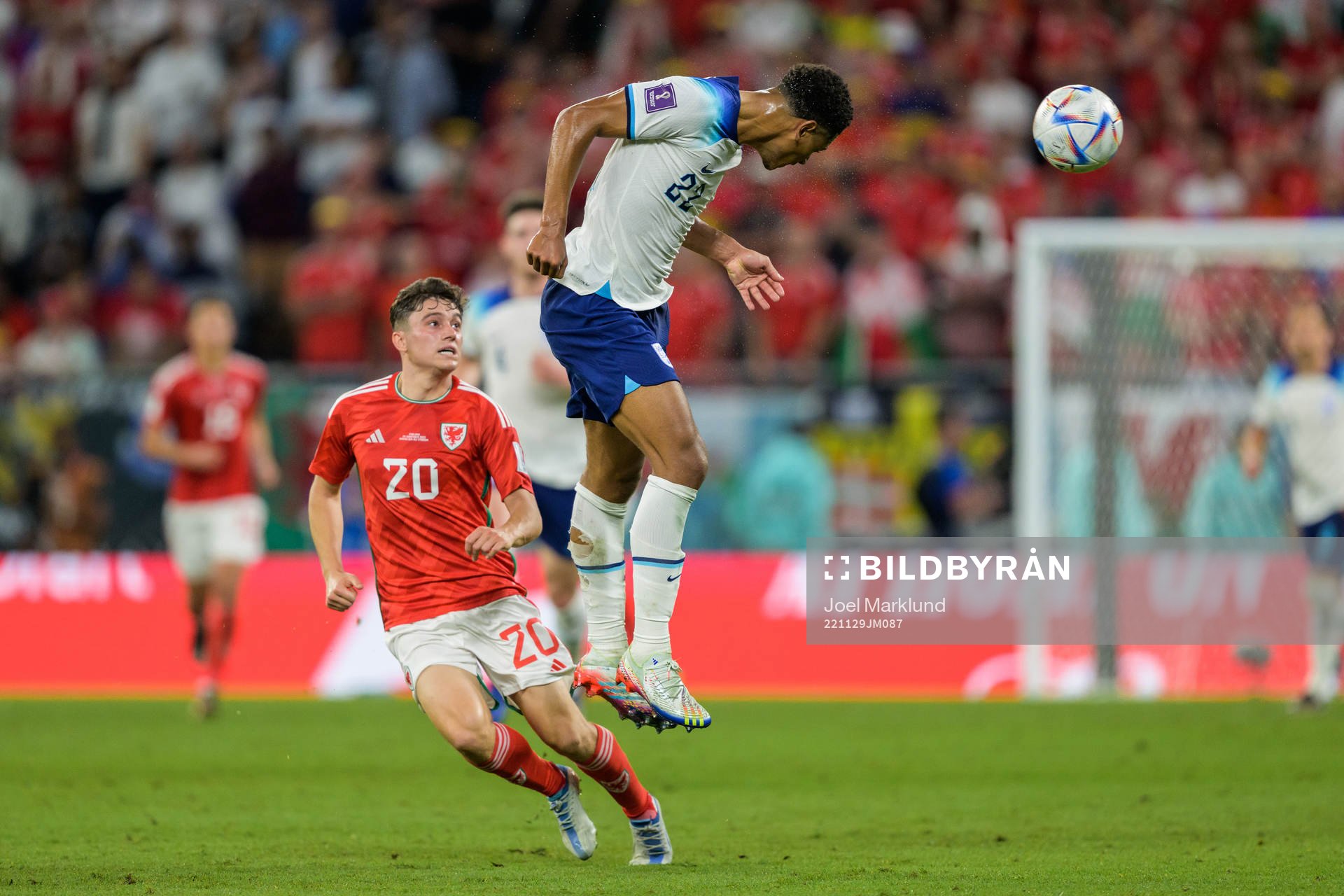 Daniel James of Wales and Jude Bellingham of England during the FIFA World Cup 2022 football match between Wales and England on November 29, 2022 in Doha.