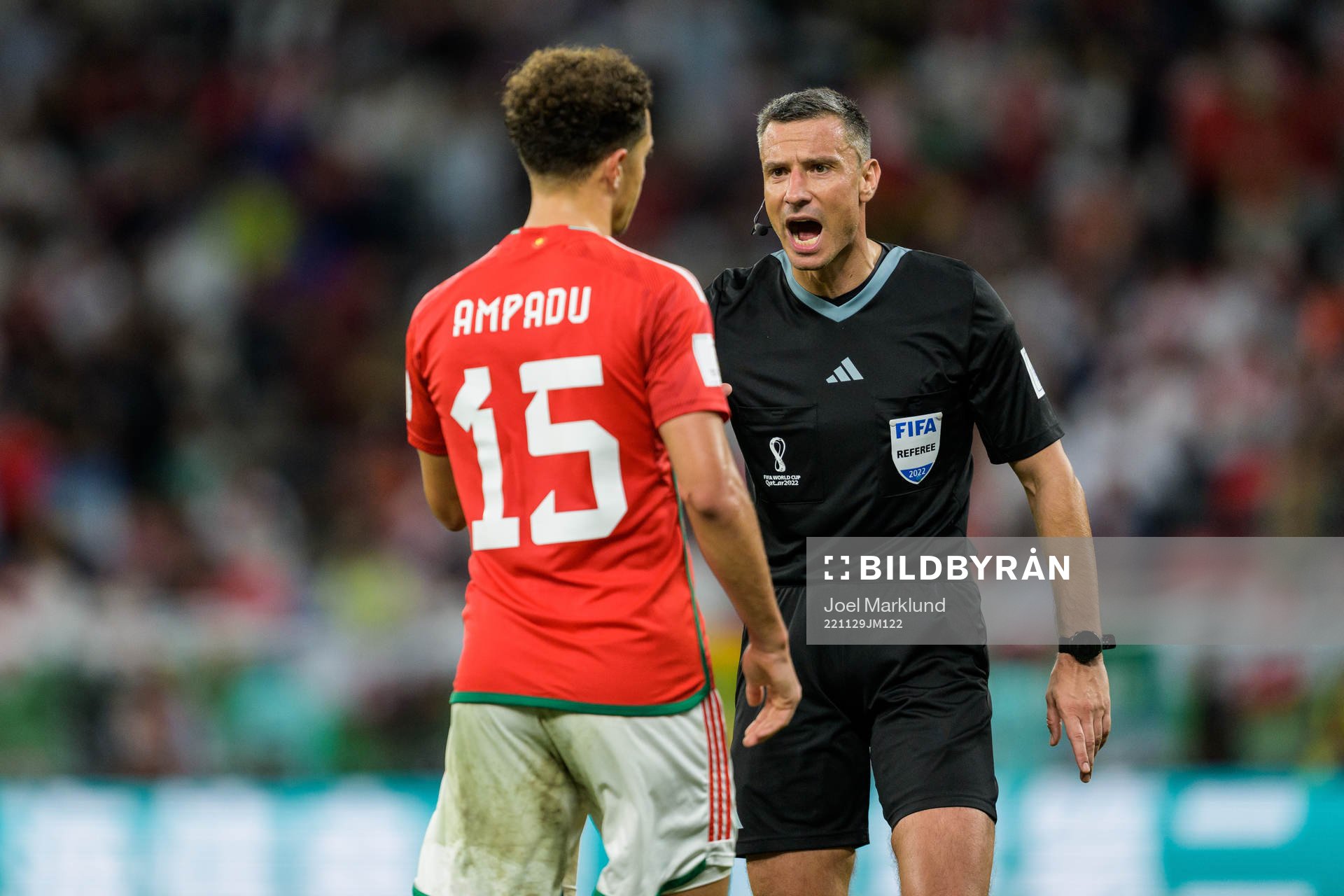 Ethan Ampadu of Wales and referee Slavko Vincic