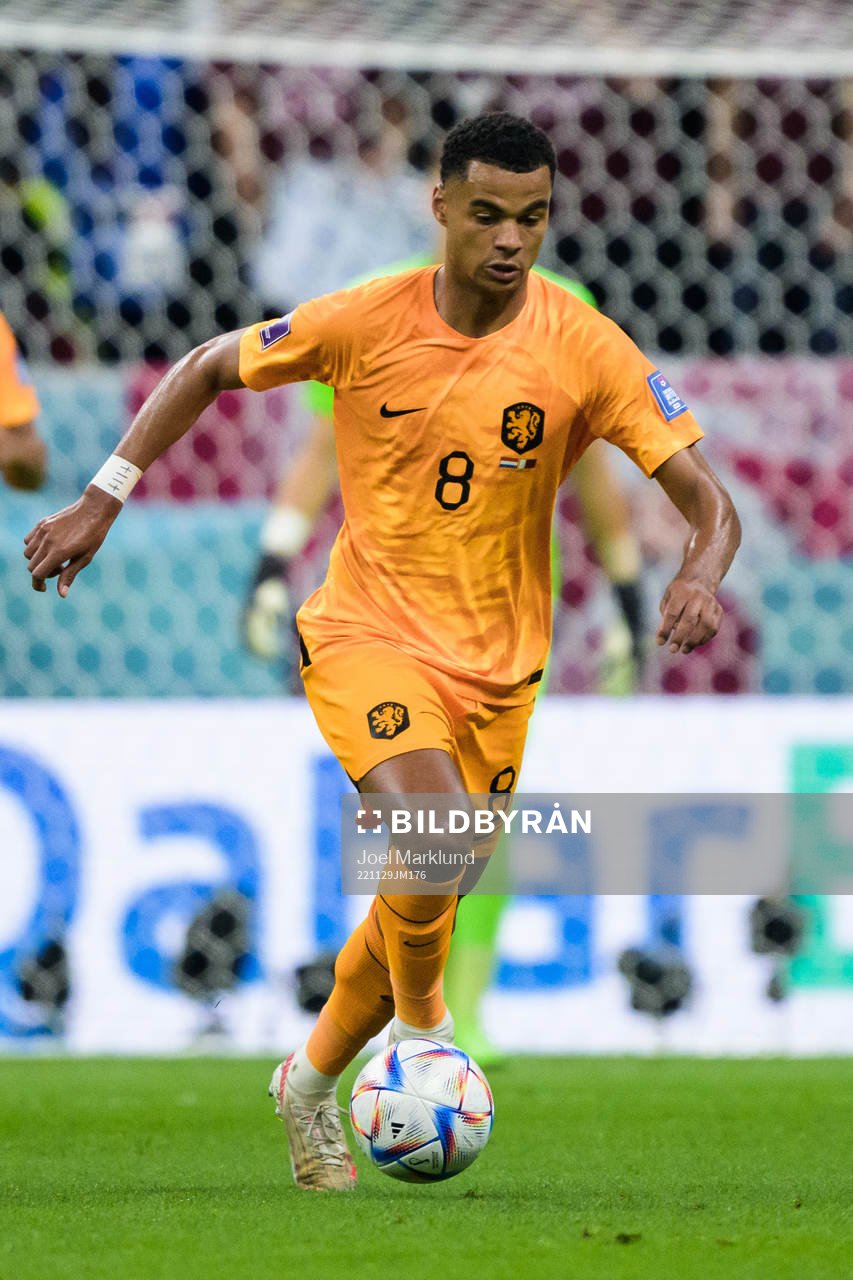 Cody Gakpo of Netherlands