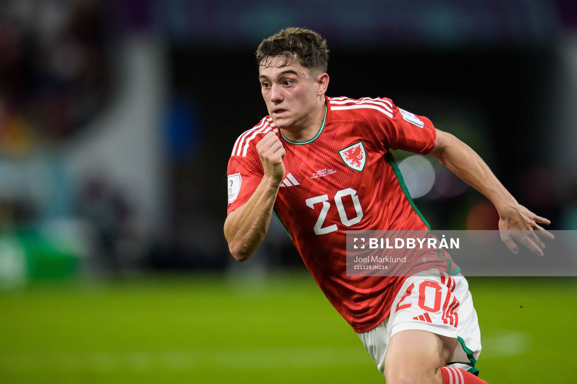 Daniel James of Wales during the FIFA World Cup 2022 football match between Wales and England on November 29, 2022 in Doha.