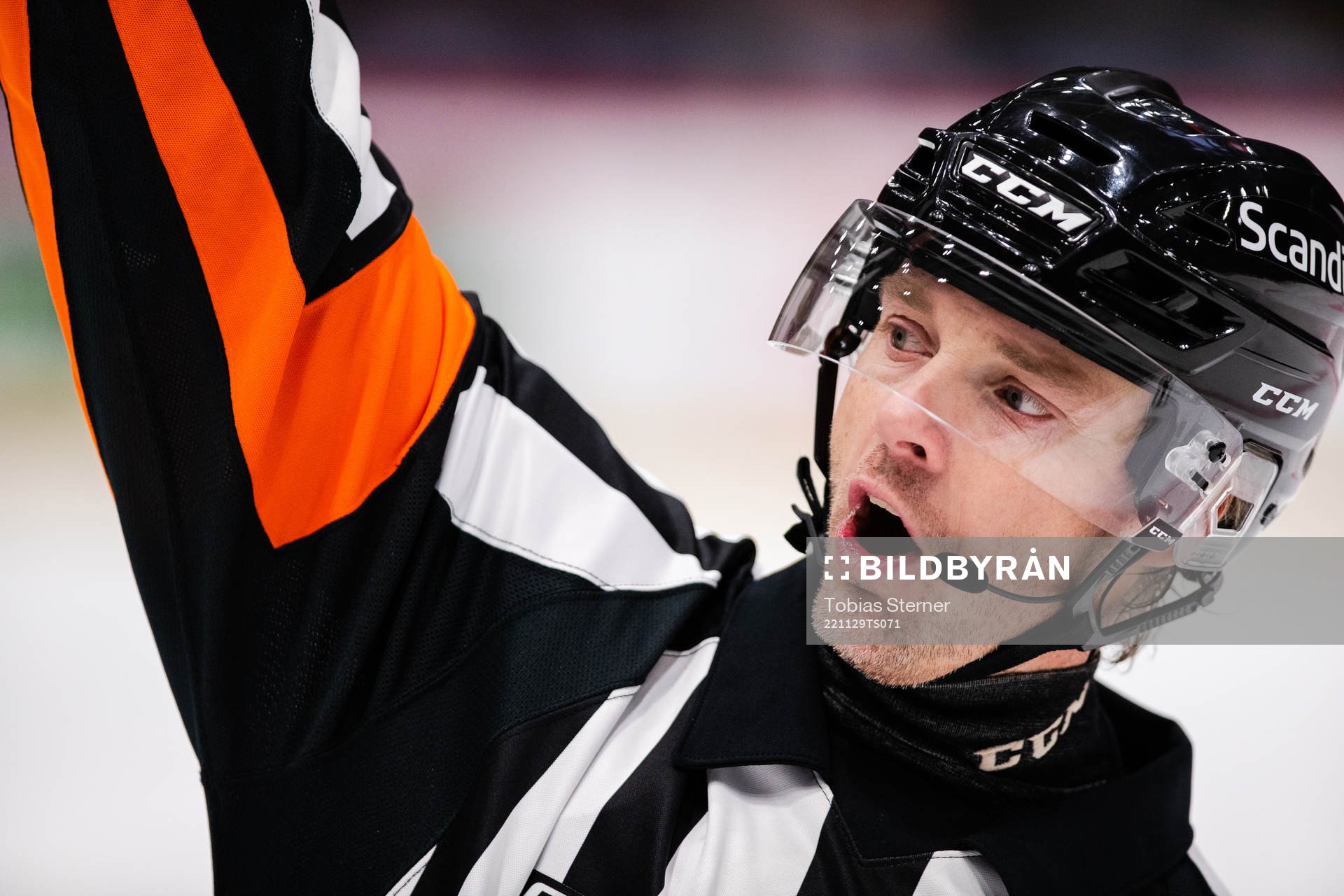 Domare Mikael Andersson
