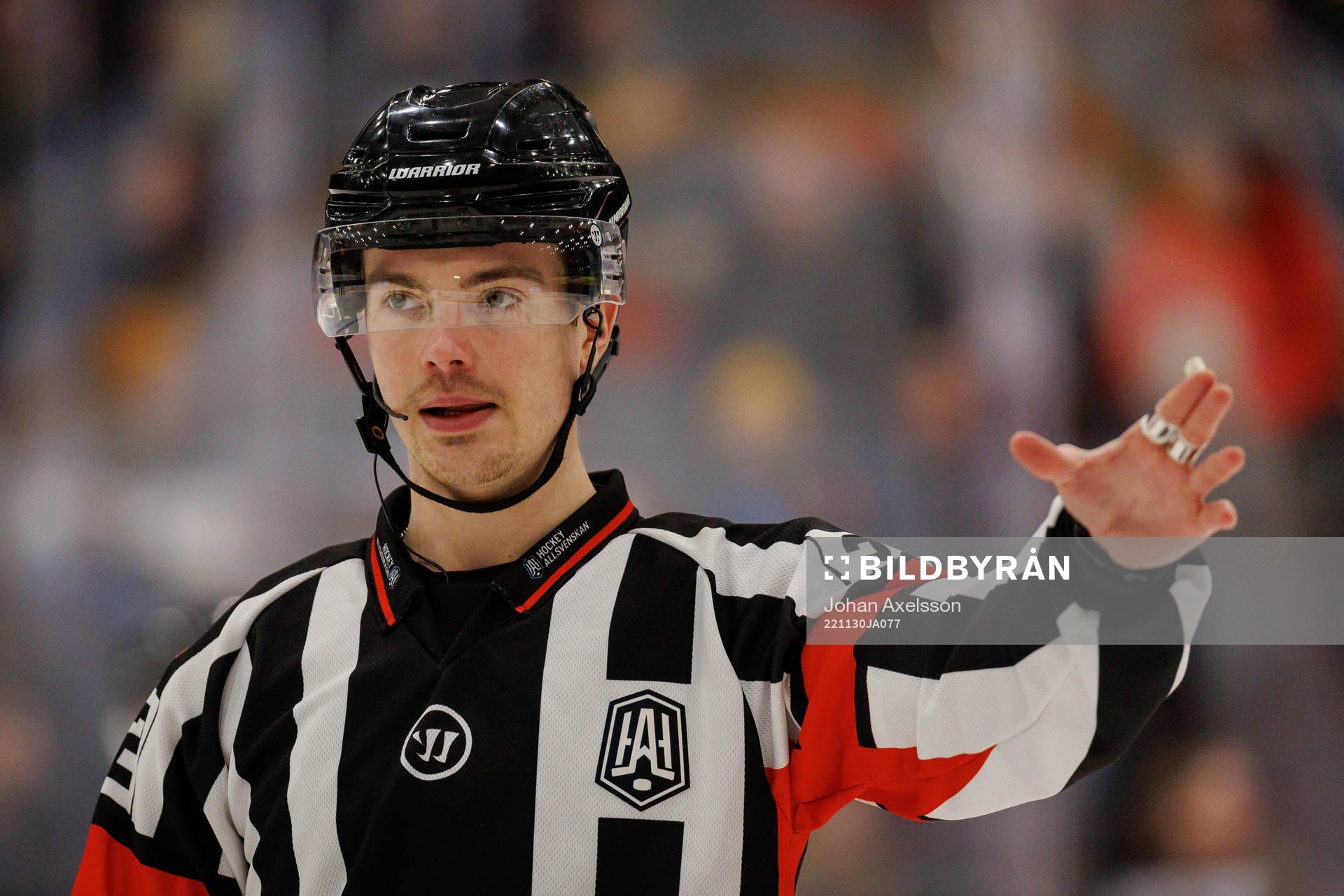 Domare Filip Eriksson