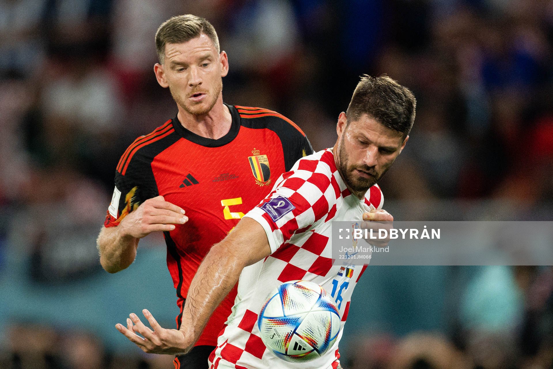 Jan Vertonghen of Belgium and Bruno Petkovic of Croatia