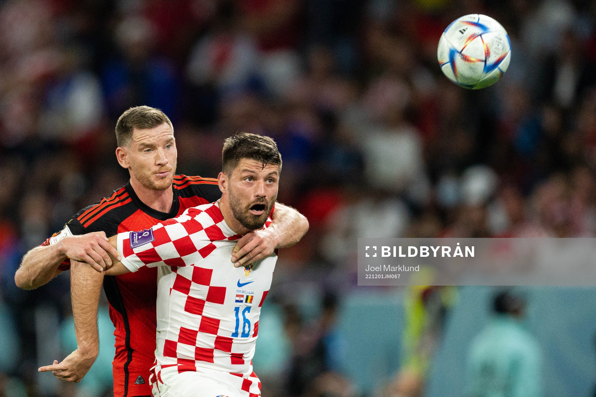 Jan Vertonghen of Belgium and Bruno Petkovic of Croatia during the FIFA World Cup 2022 football match between Croatia and Belgium on December 1, 2022 in Doha.