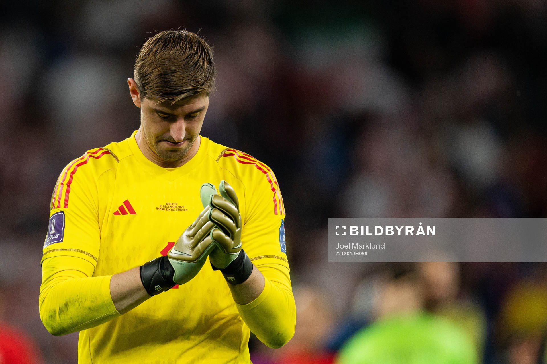Goalkeeper Thibaut Courtois of Belgium looks dejected