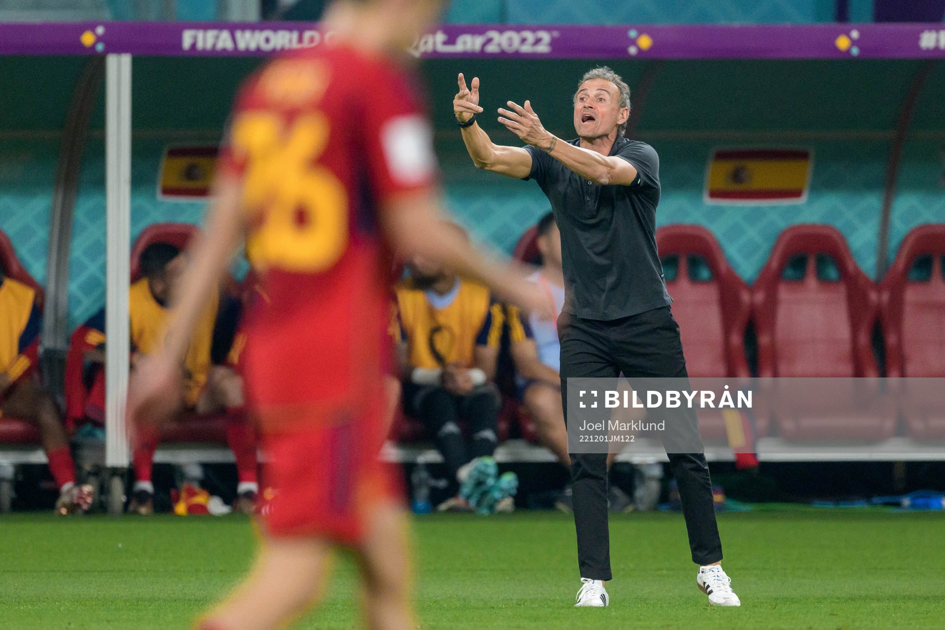 head coach Luis Enrique of Spain during the FIFA World Cup 2022 football match between Japan and Spain on December 1, 2022 in Doha.